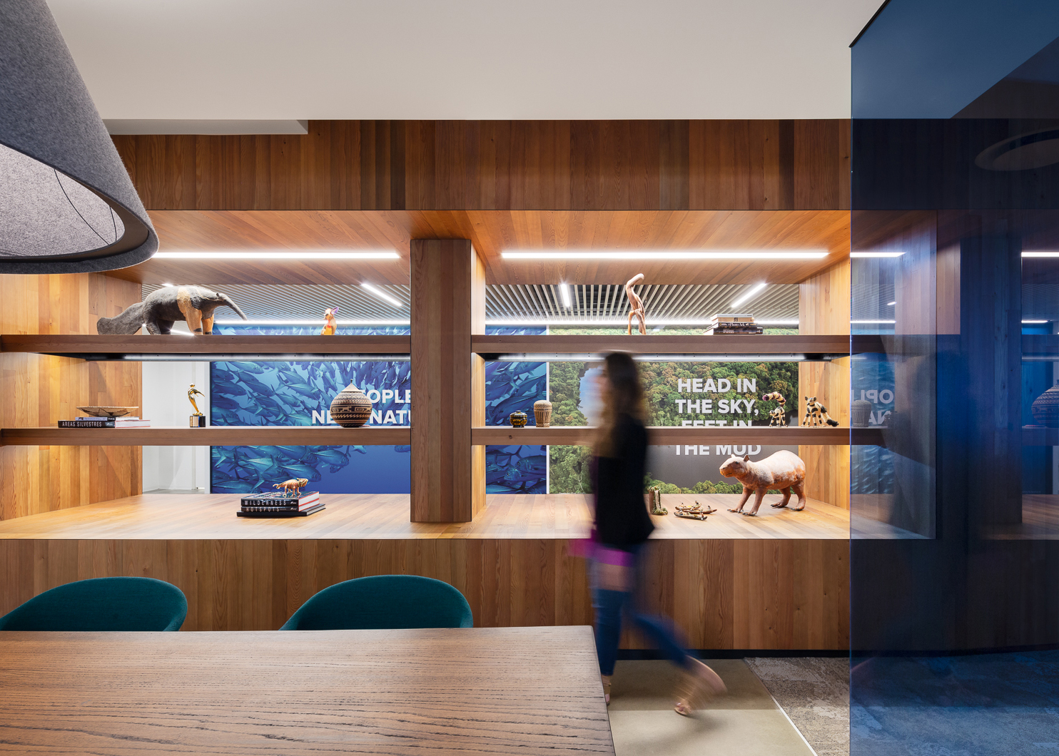 Conservation International