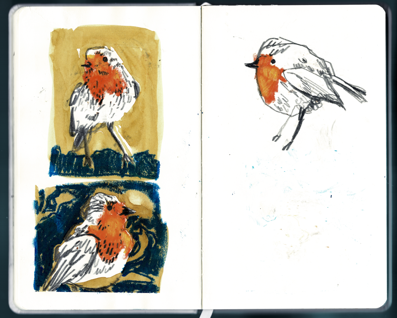 Sketchbook studies of robins for my 2023 Christmas cards. Gouache, Graphite, Oil Pastel, October 2023.