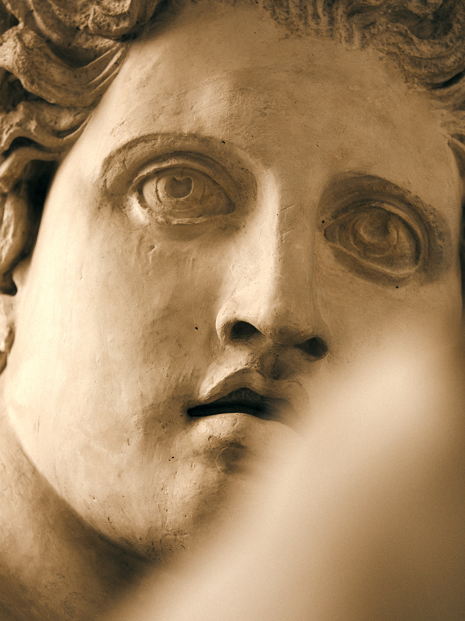 VILLA MEDICIS, GESTE(S)