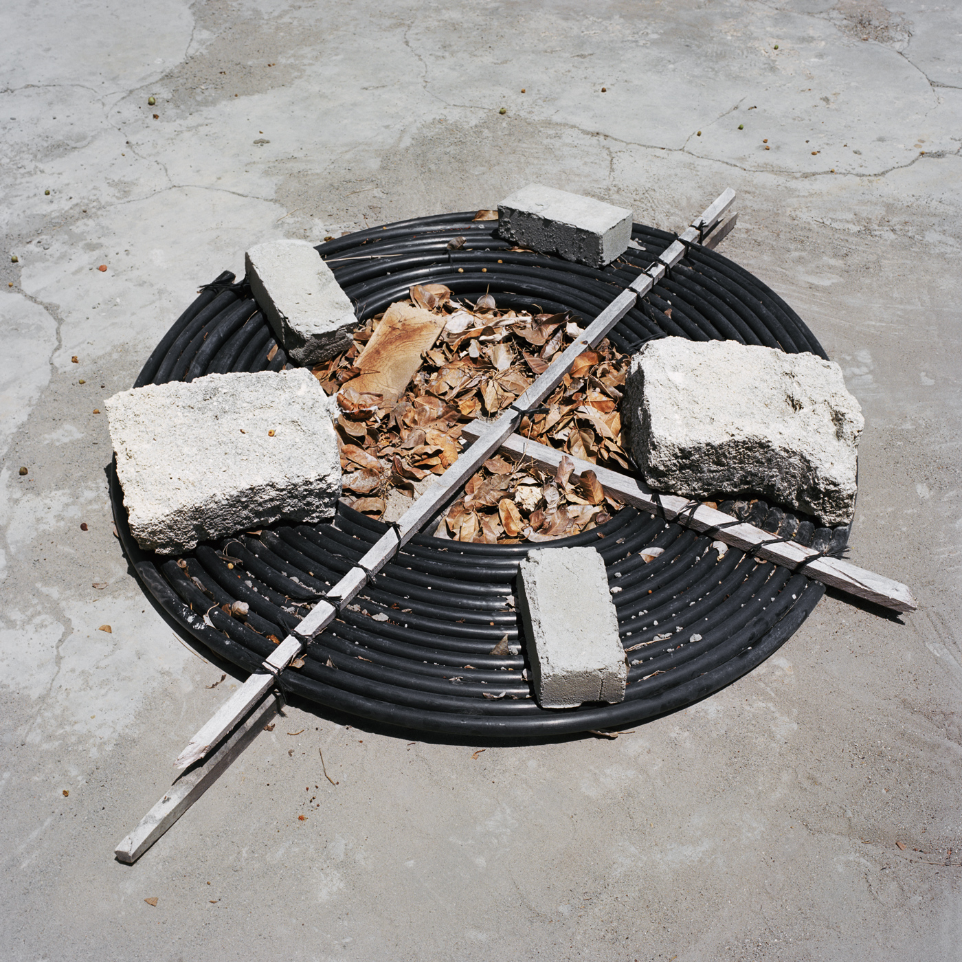 Coil, Ibo Island, 2014