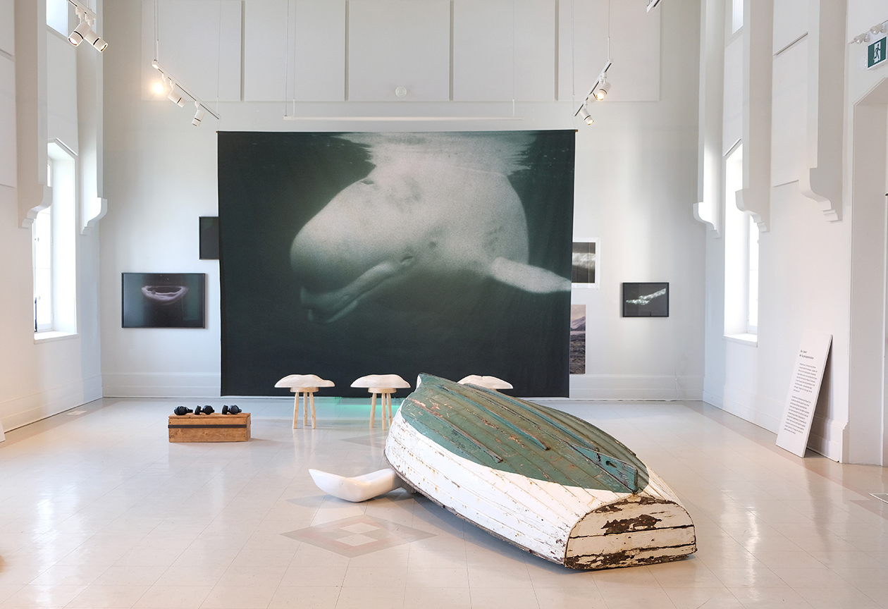 Dans l’œil du béluga, Centre d'art de Kamouraska, 2025