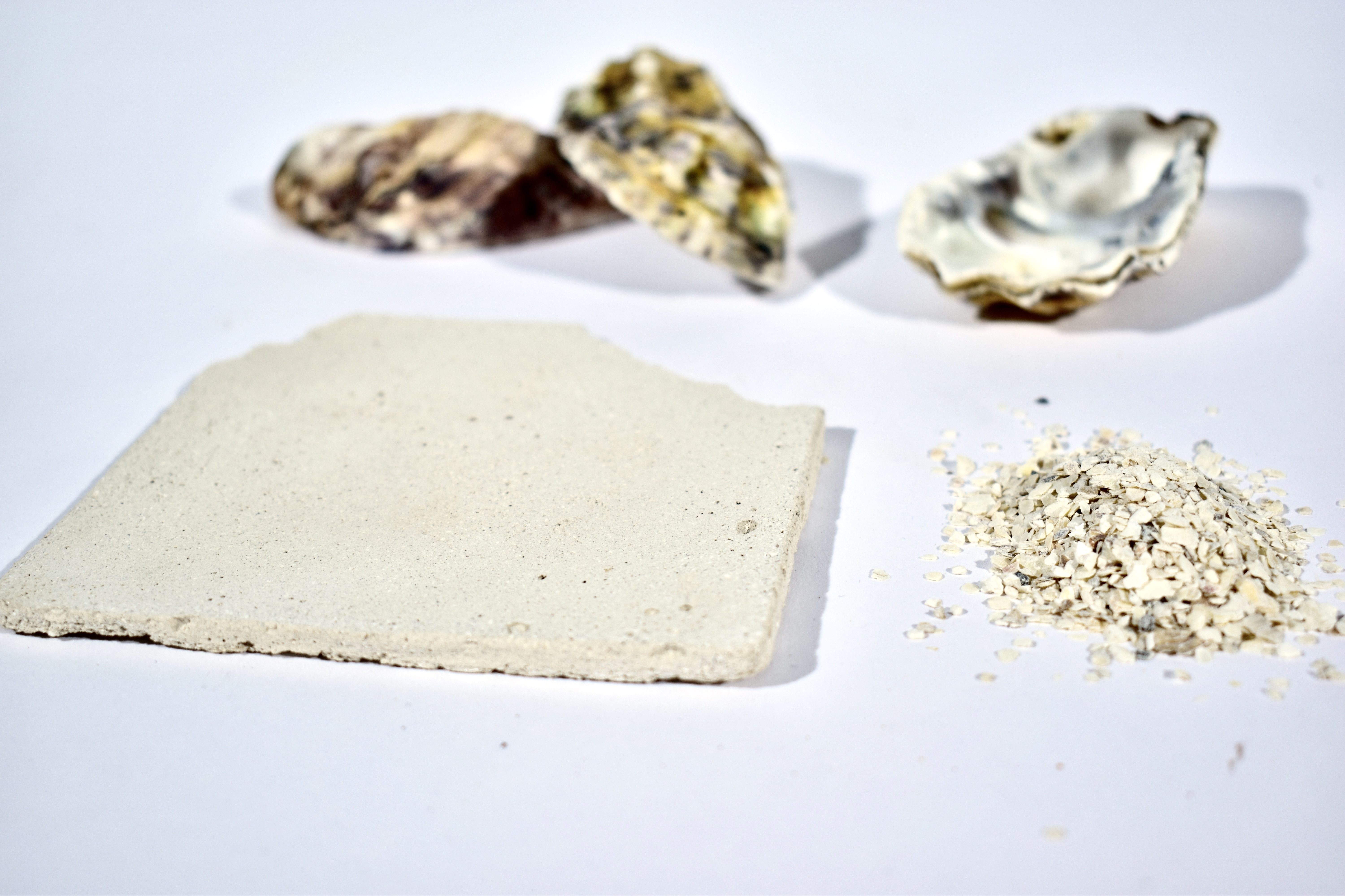 Oyster Shell Biocomposite