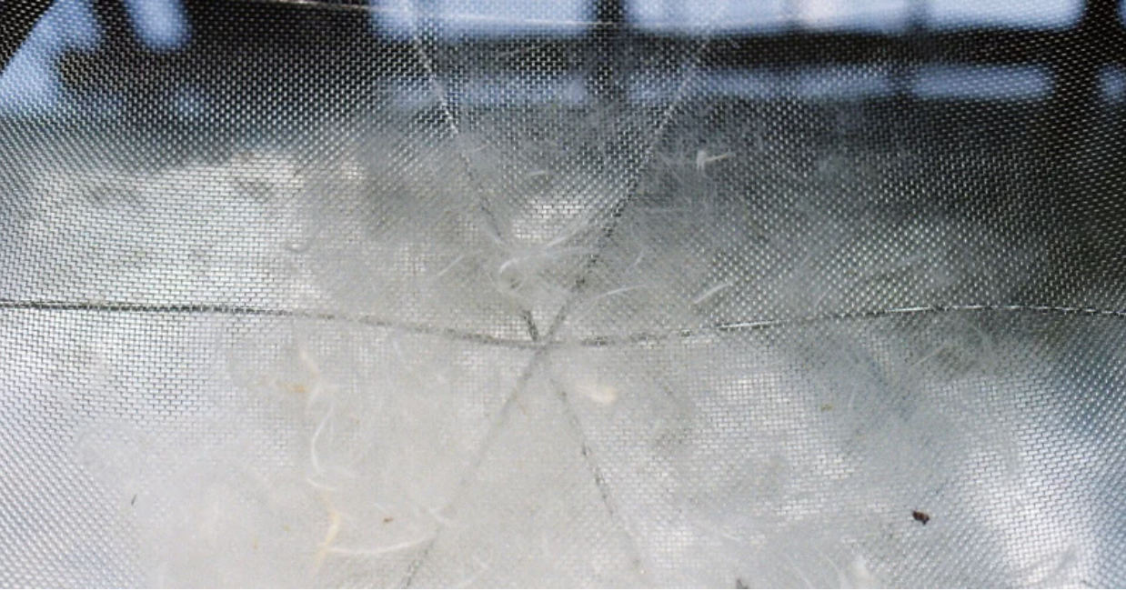 Washi-making for Book Cover