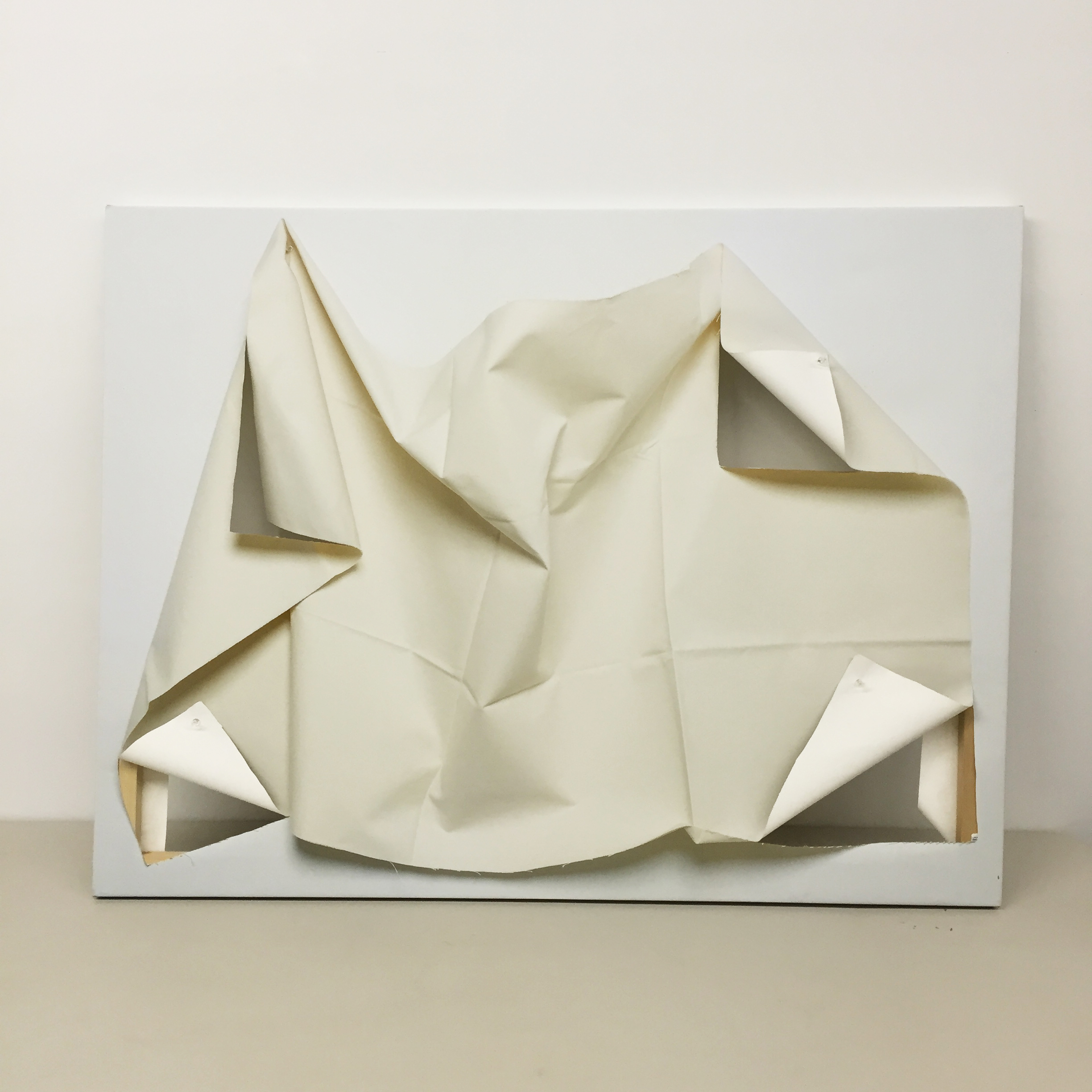 "Ouroboros 1"40"x50" inkjet printed canvas on stretcher, pins