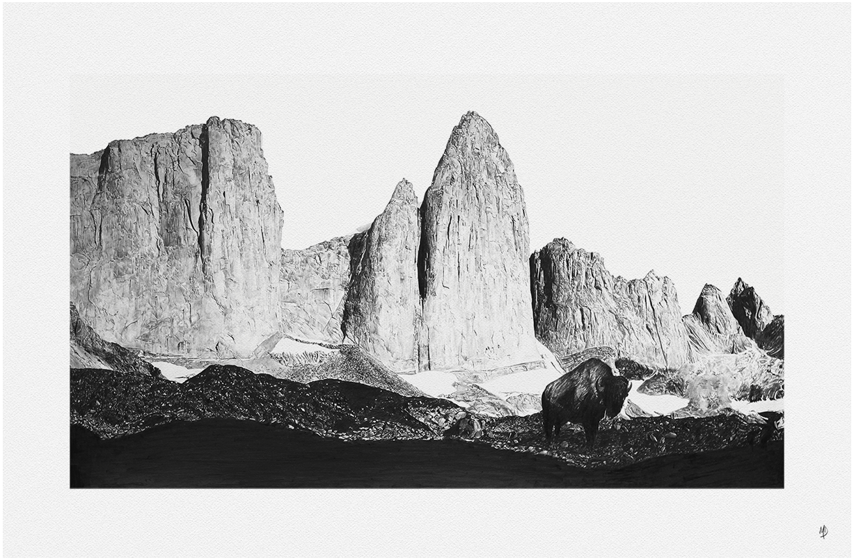 UNTITLED Pencil on paper BUY