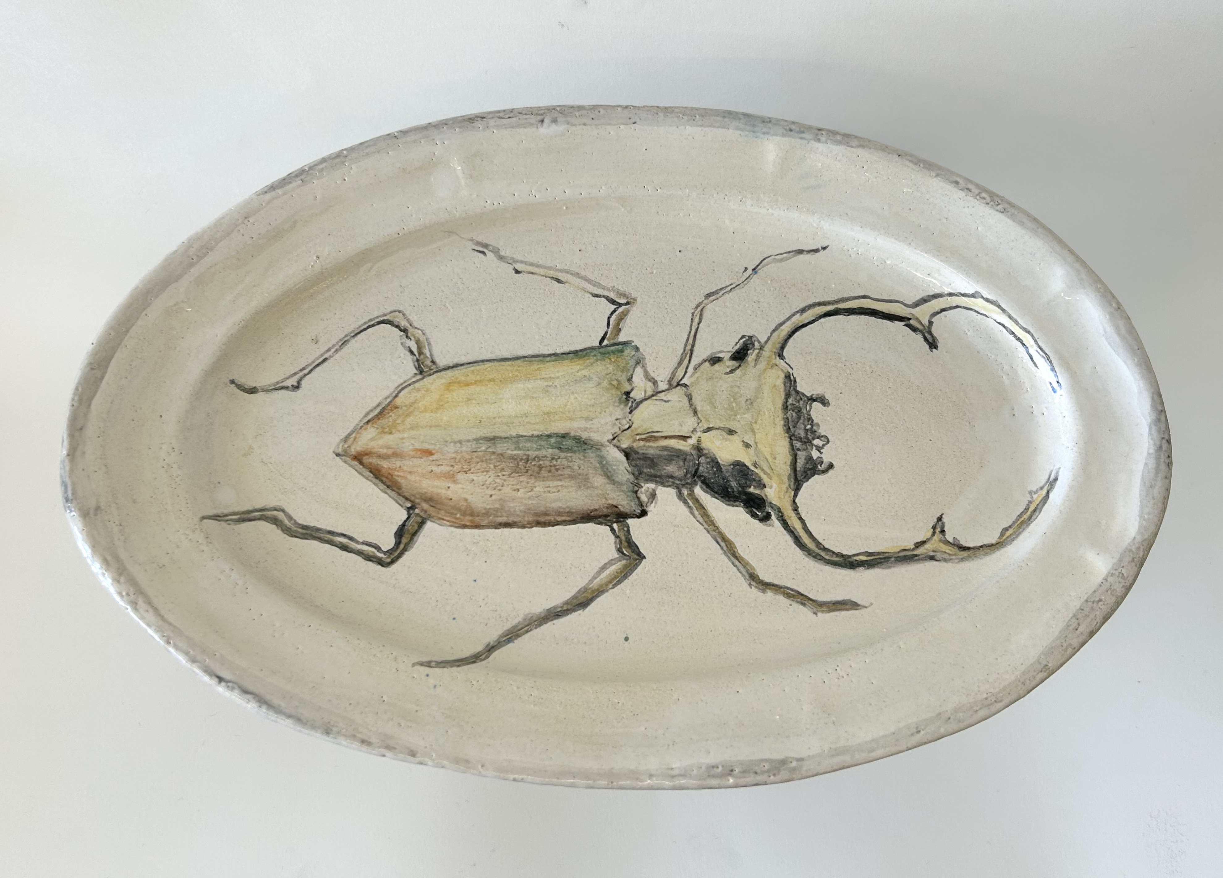 plate with insect (view 1), glazed stoneware