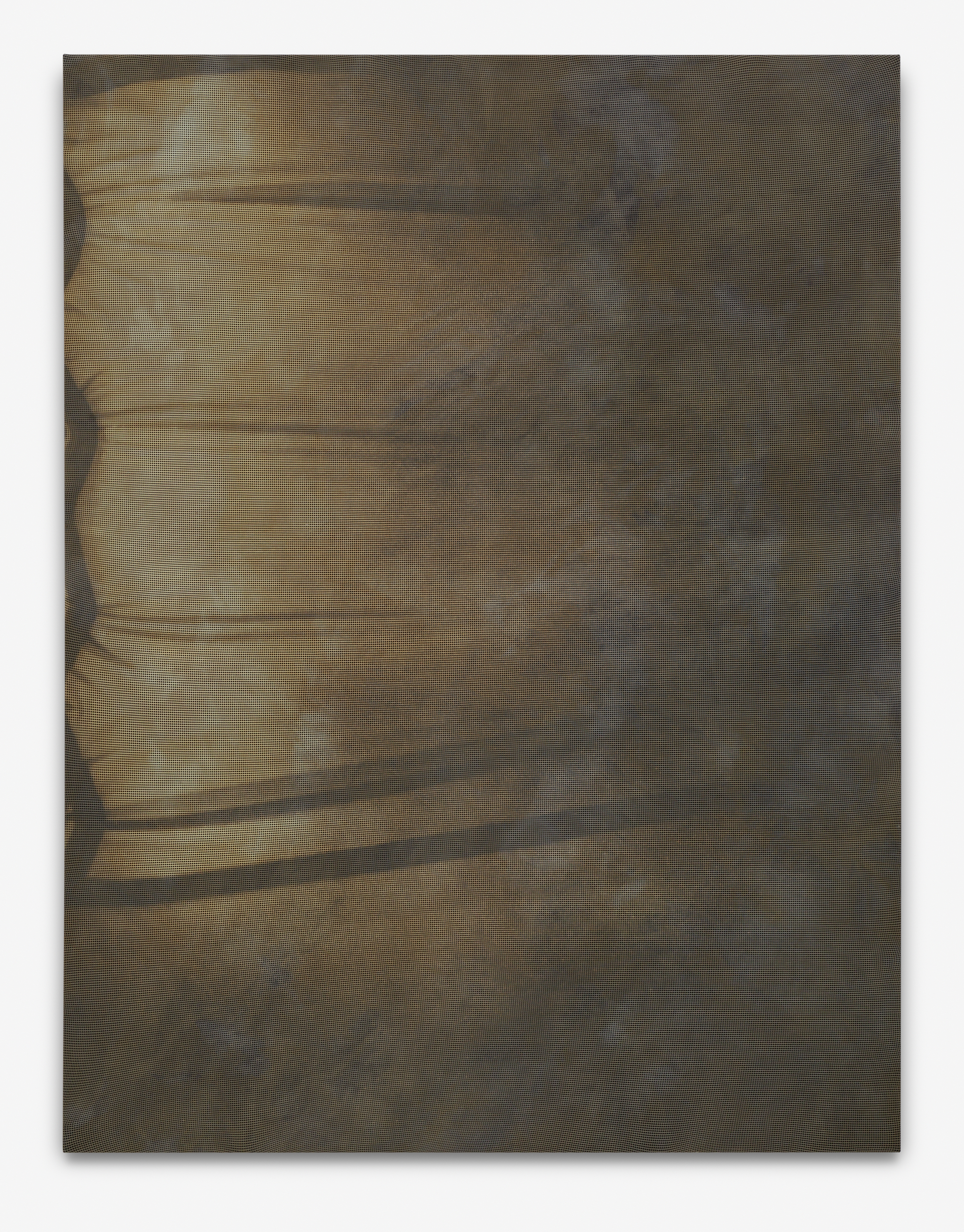 untitled, 190x145cm, dye and bleach on mesh fabric, 2014