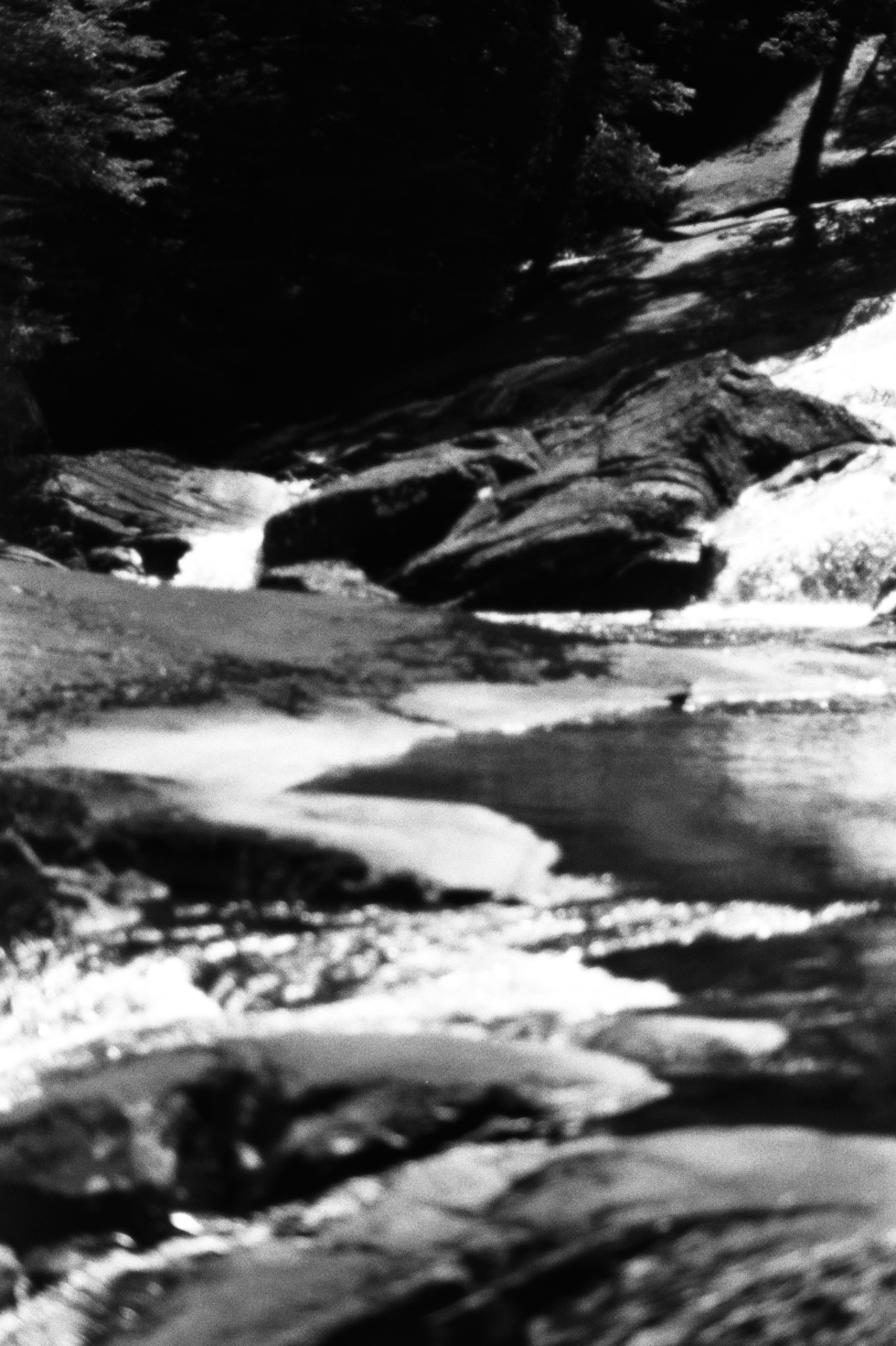Patagonia, Argentina 2020 (35mm)