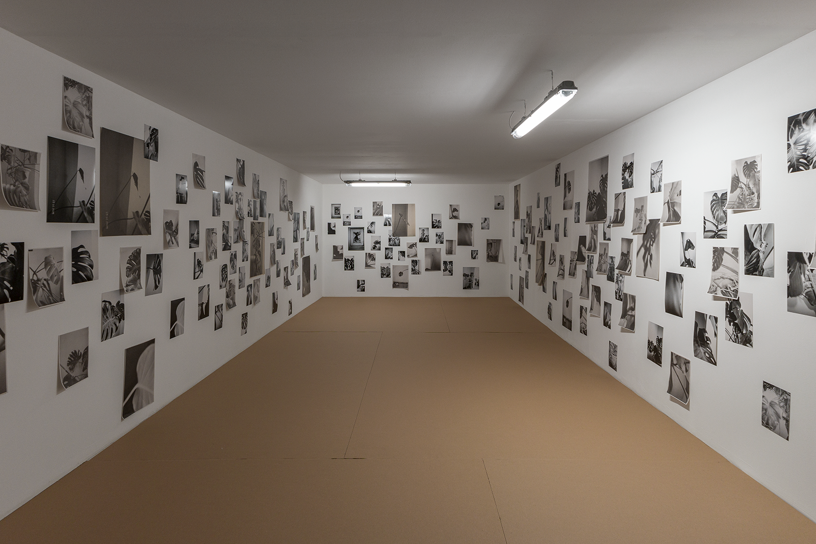A Room for 1993&ndash;, 2026. Analog photographs taken between 2021&ndash;2025, printed in various sizes as chromogenic prints on Fujifilm Crystal Archive paper and inkjet prints on 49 gsm newspaper, tape, hanging LED tubes, wooden structure, acrylic paint, cardboard.  550 &times; 240 &times; 145 cm