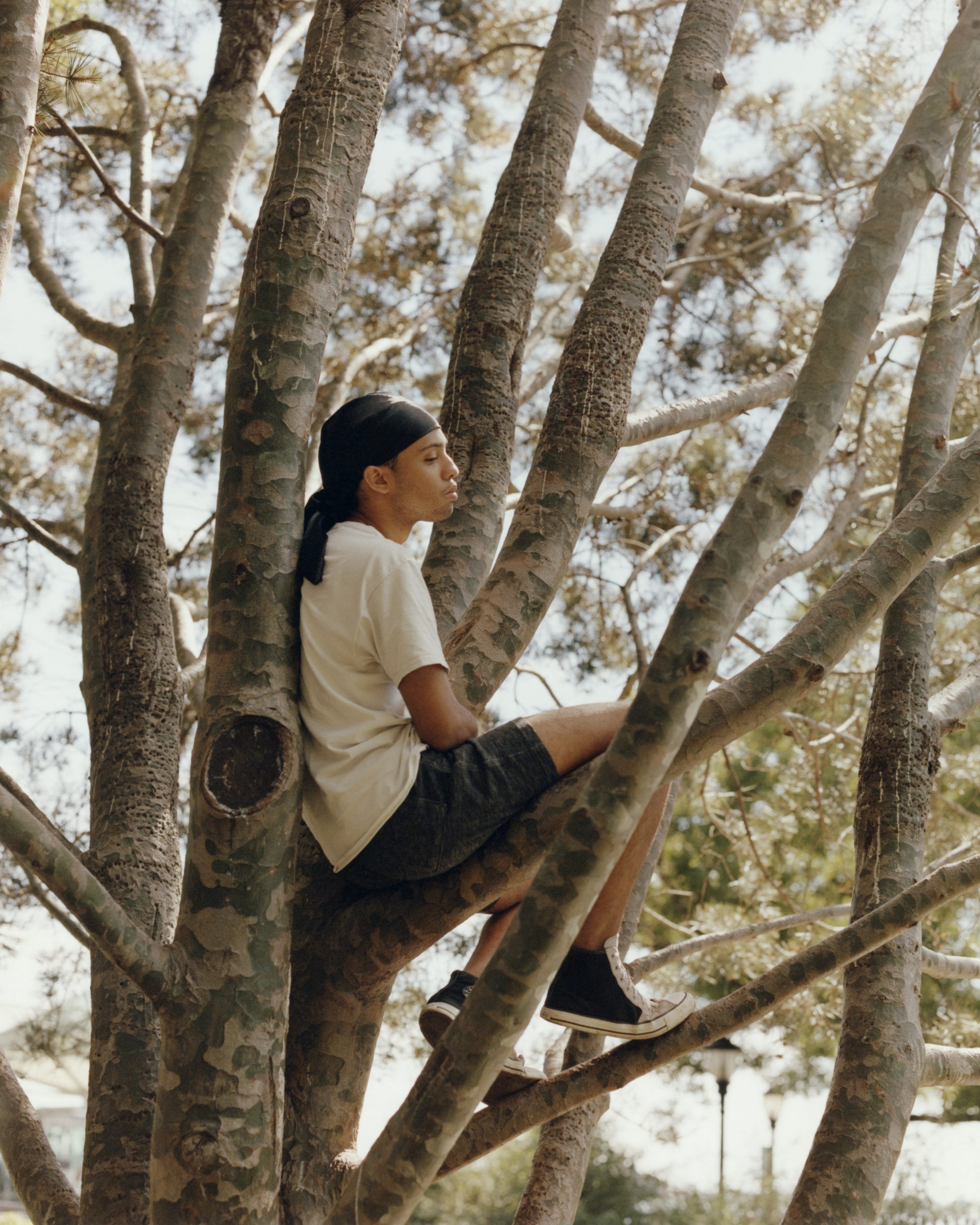 Les Festins de la Liberté — M Le Monde, 2024