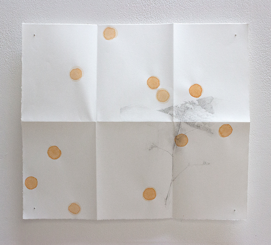 Studies for Cithaeron to Dhaktau, each drawing is 28cm x 24cm, pigment and graphite