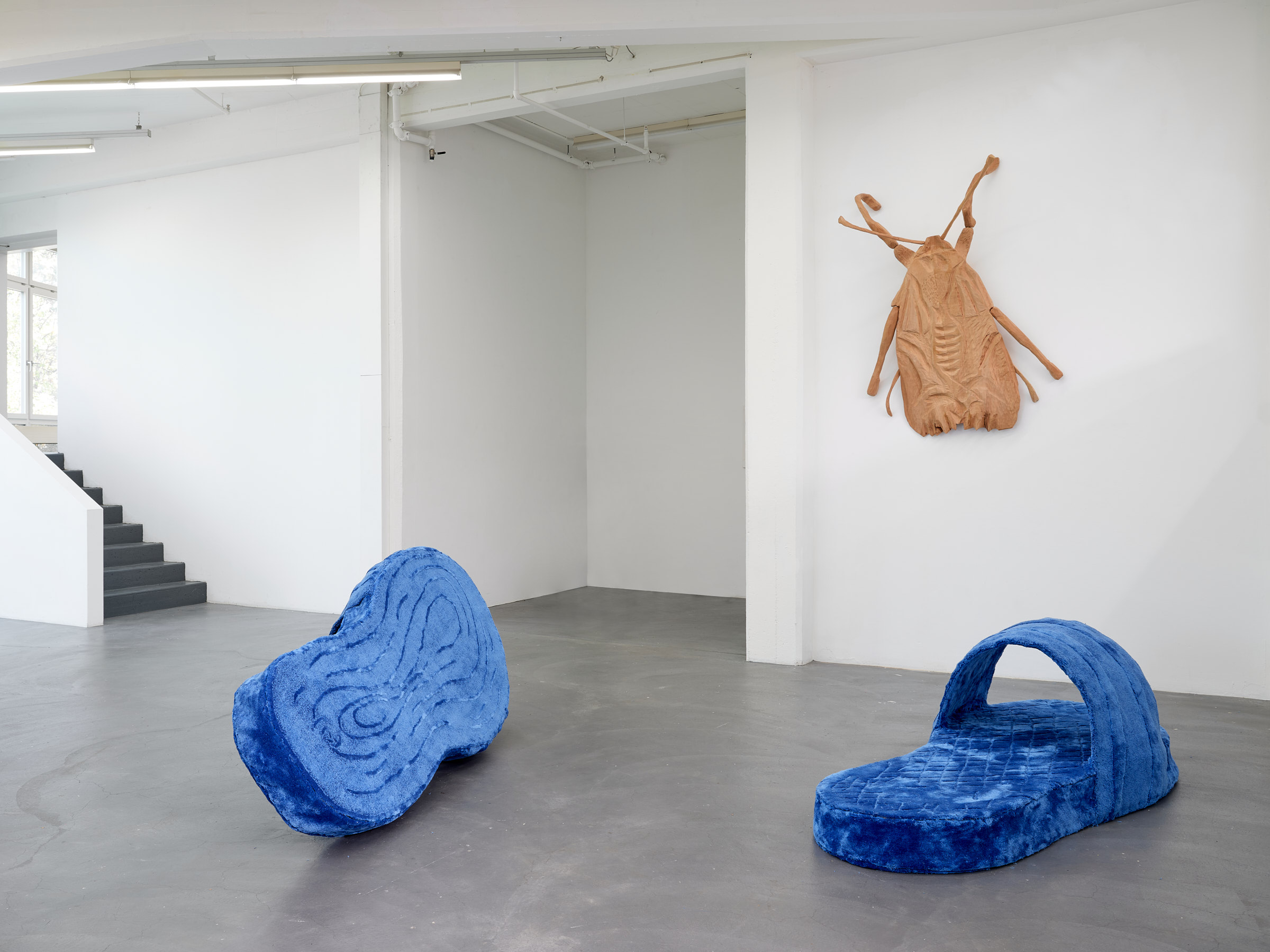 A Dialogue Between A Wooden Moth and Blue Slippers (2022)