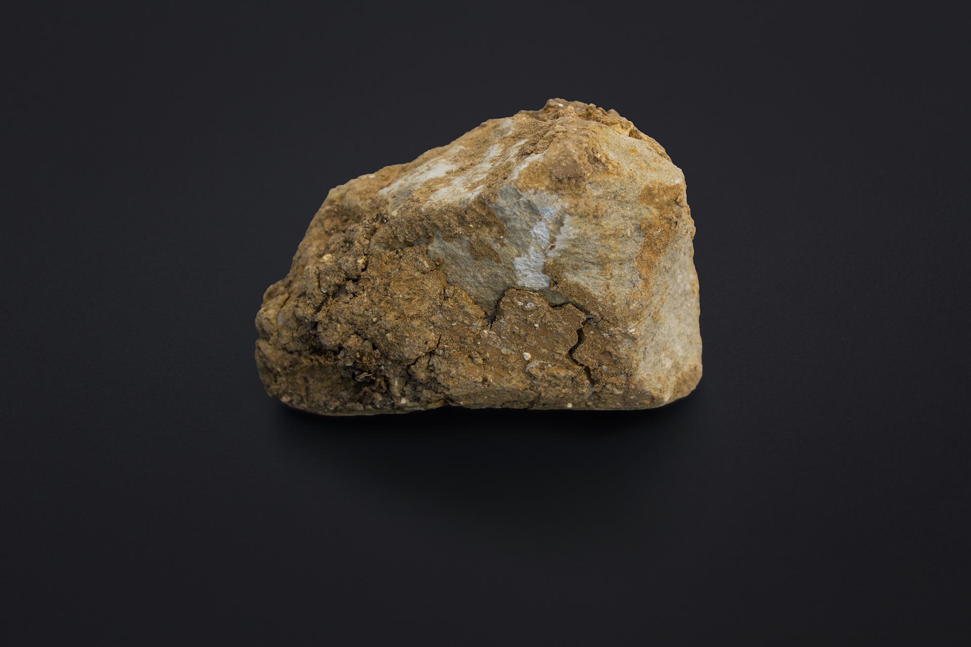 Private Collection 7/10 (Matthew Barney: Drawing Restraint 17, 2010), moulded polycaprolactone, cast bronze and soil, taken from the Schaulager Basel on June 17, 2010