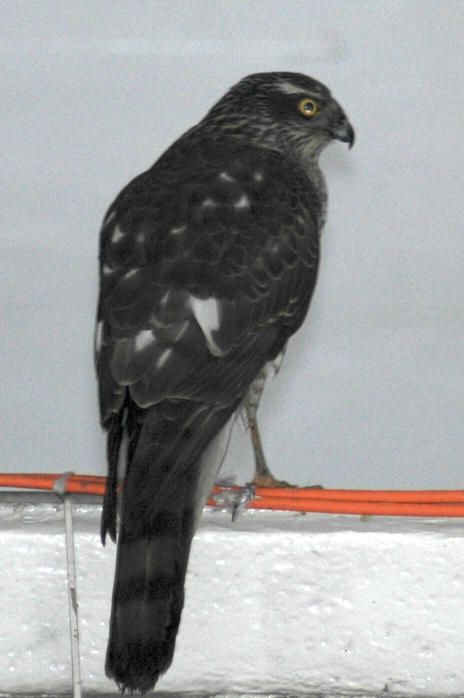 21.01.2023, Kışla binası