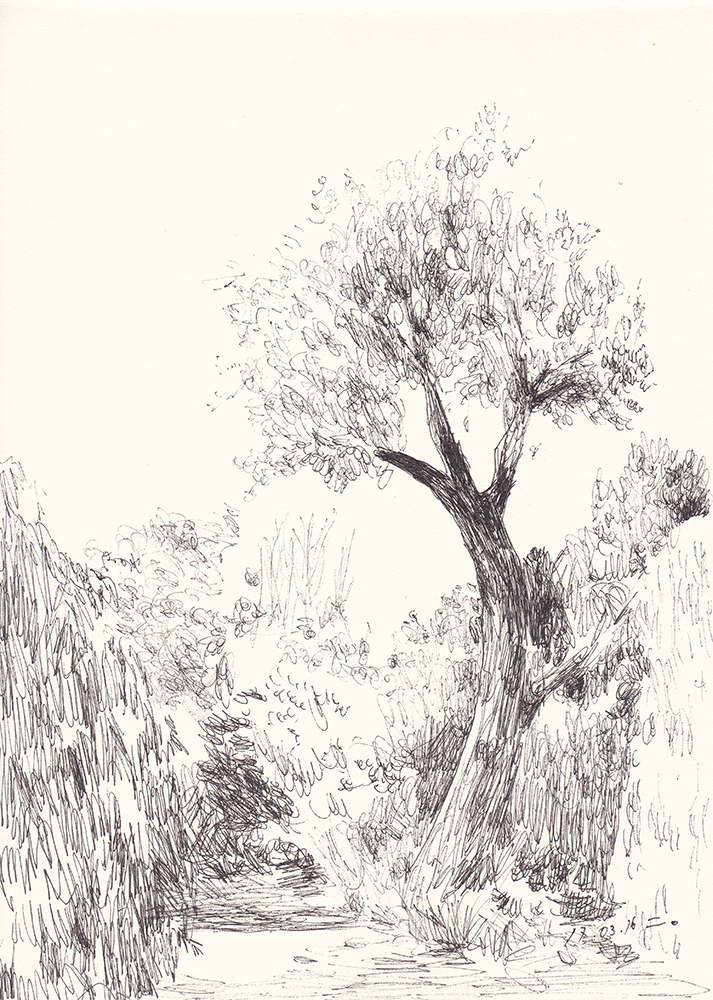 The forgotten park, 2017, pen on paper, 21*14.8(cm)