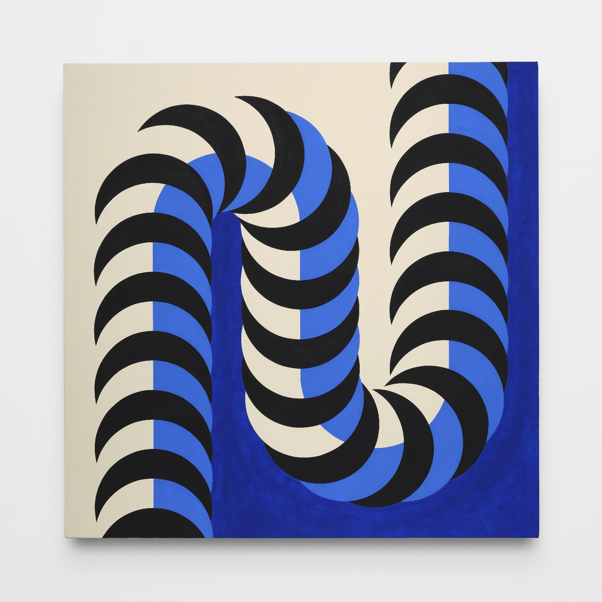 Live Sand, 2023Flashe on canvas over panel, 24 x 24 inches