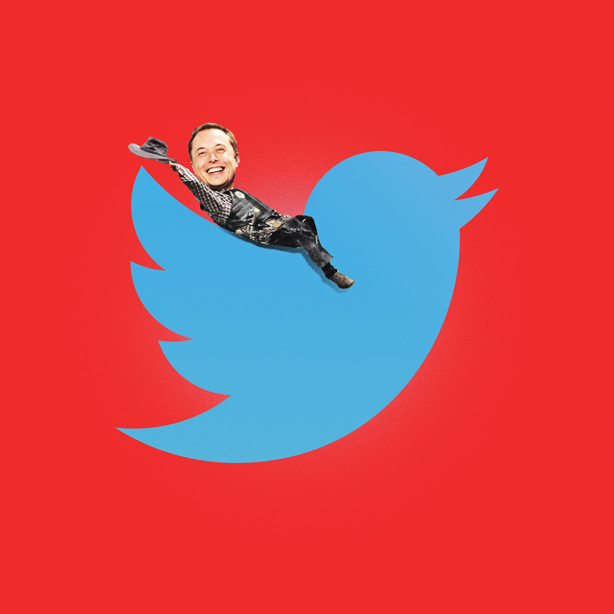 Tesla Chief Elon Musk Shows Why Twitter Is Not for CEOs
