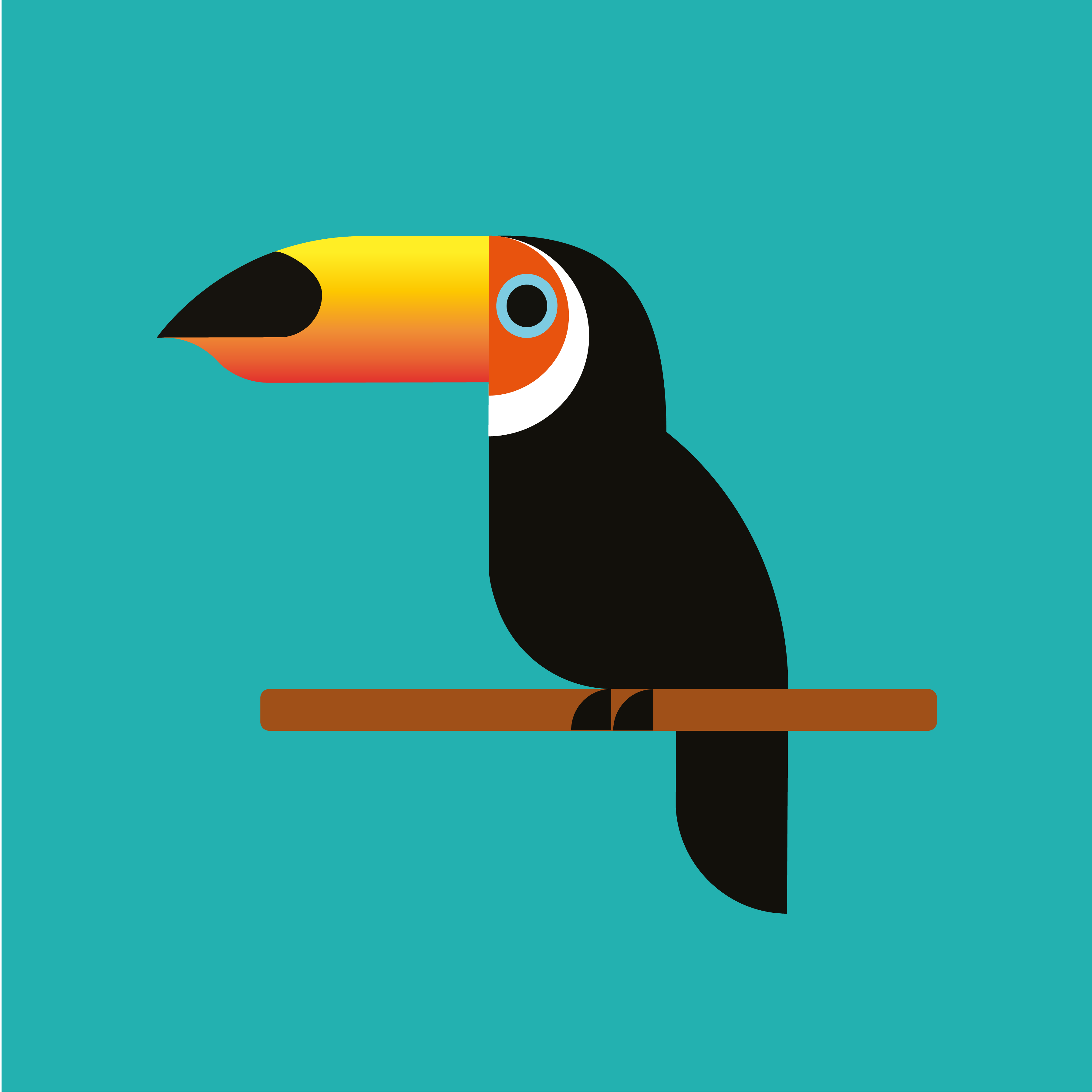 Terry the Toucan - Born in the Amazon, illustrated in Surrey