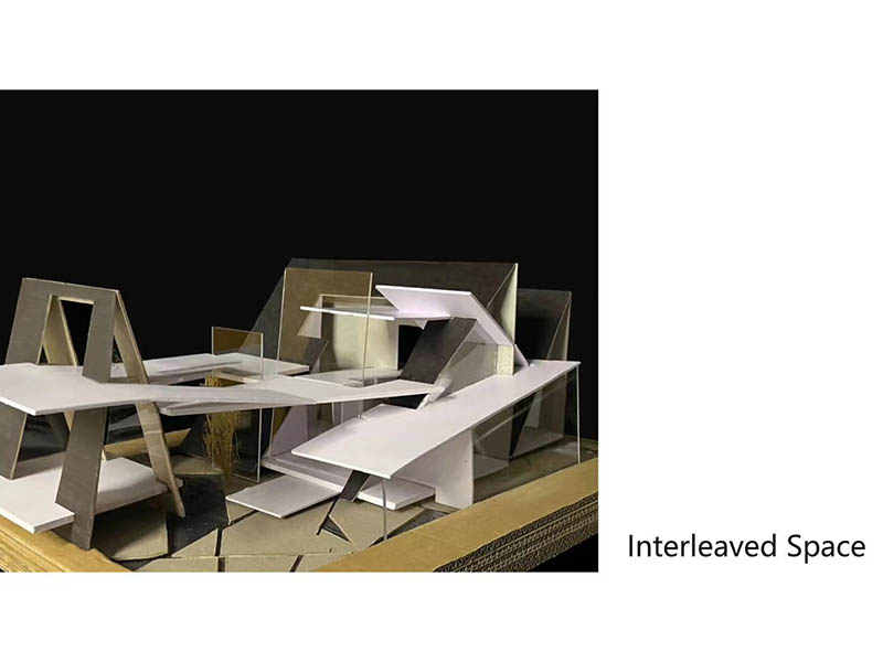 艺术新生代三年级