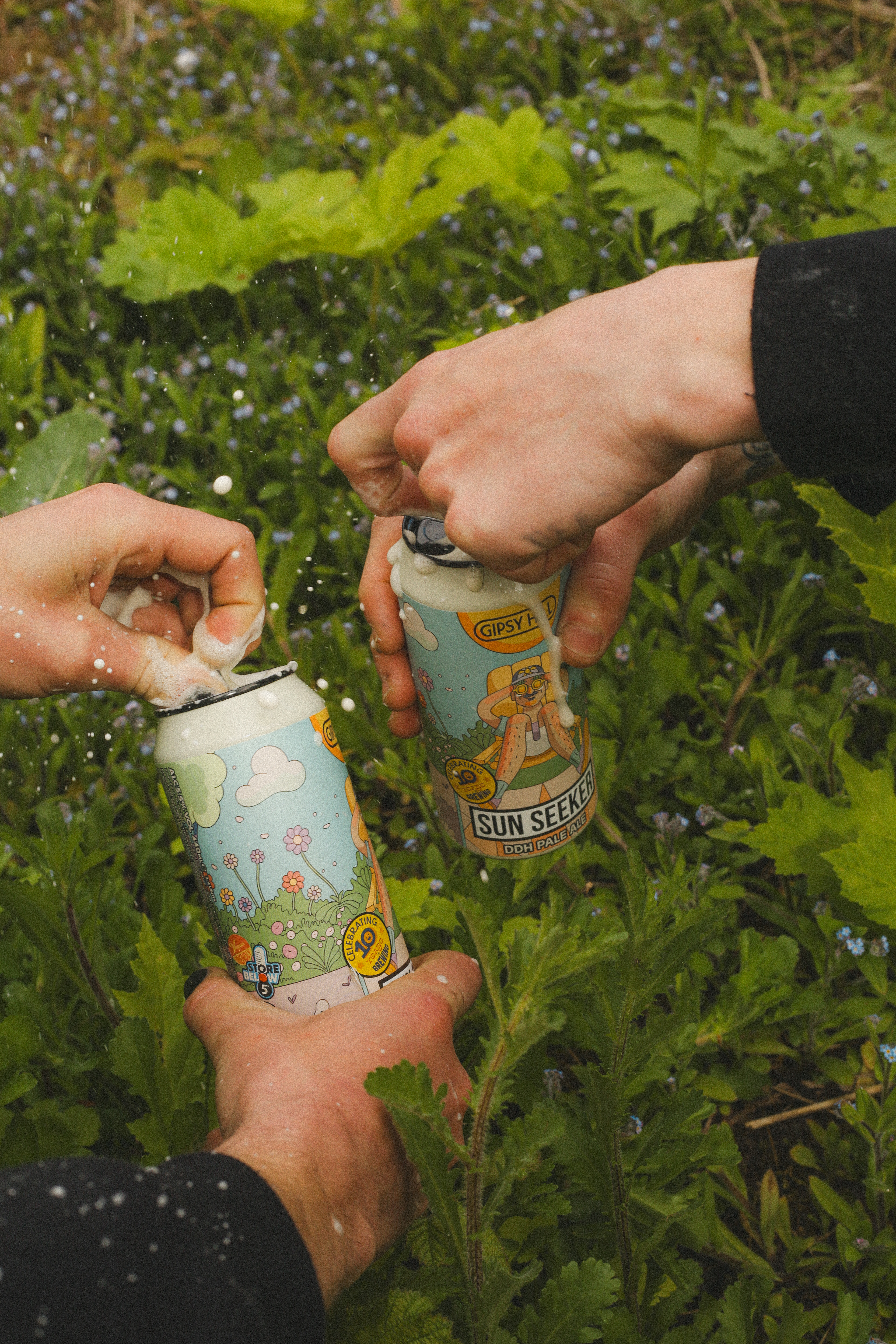 GIPSY HILL Sun Seeker #Photography