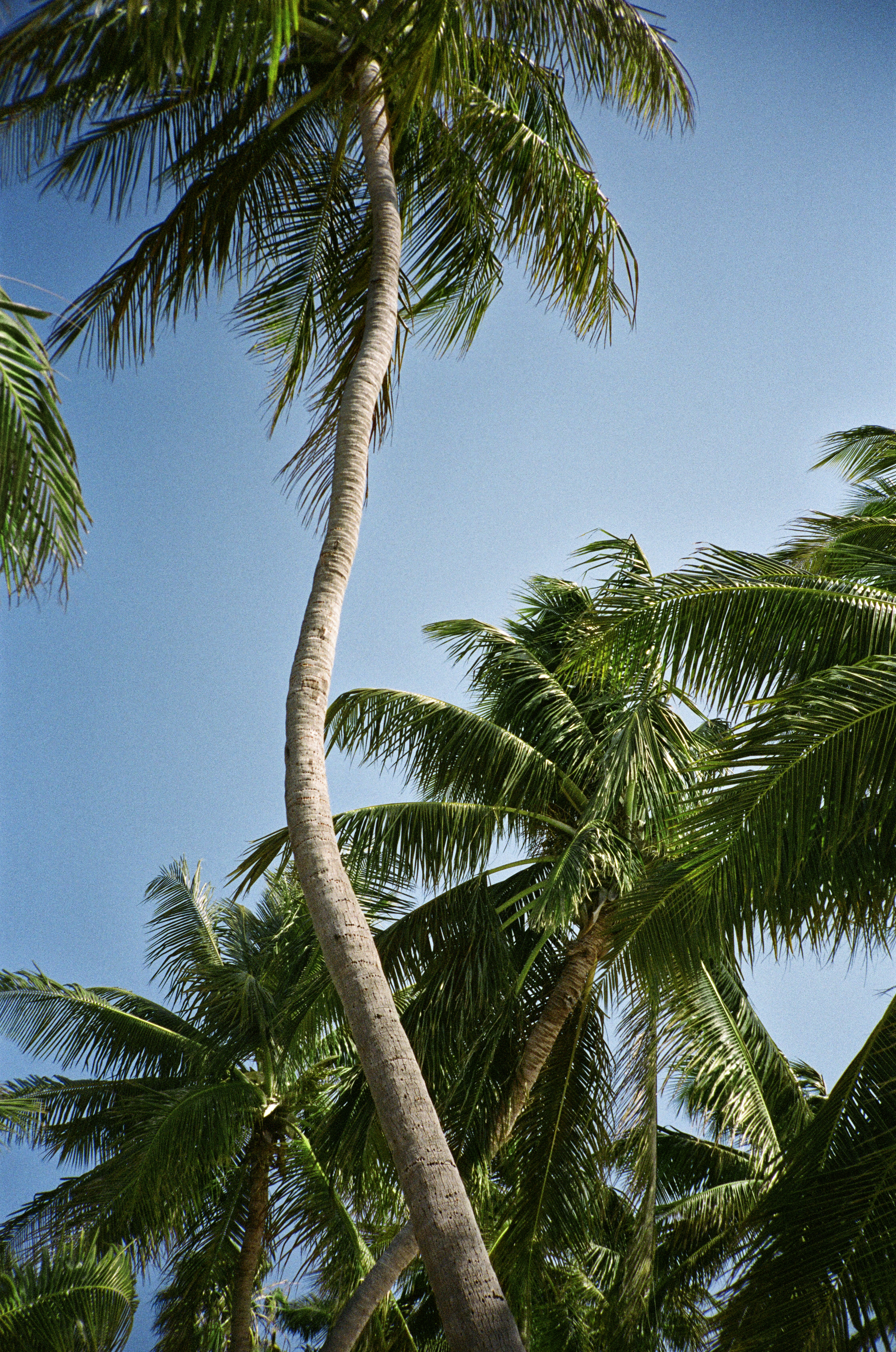 Tommy Hilfiger – Summer23