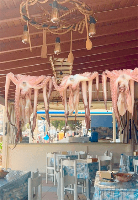 I can not eat you, 2025