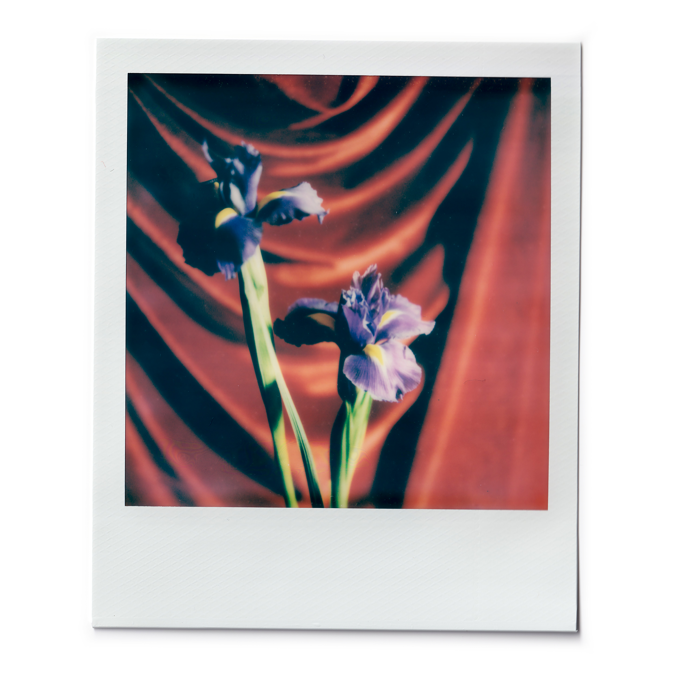 n.00269 (2023), Polaroid 600, 10.75x8.84cm