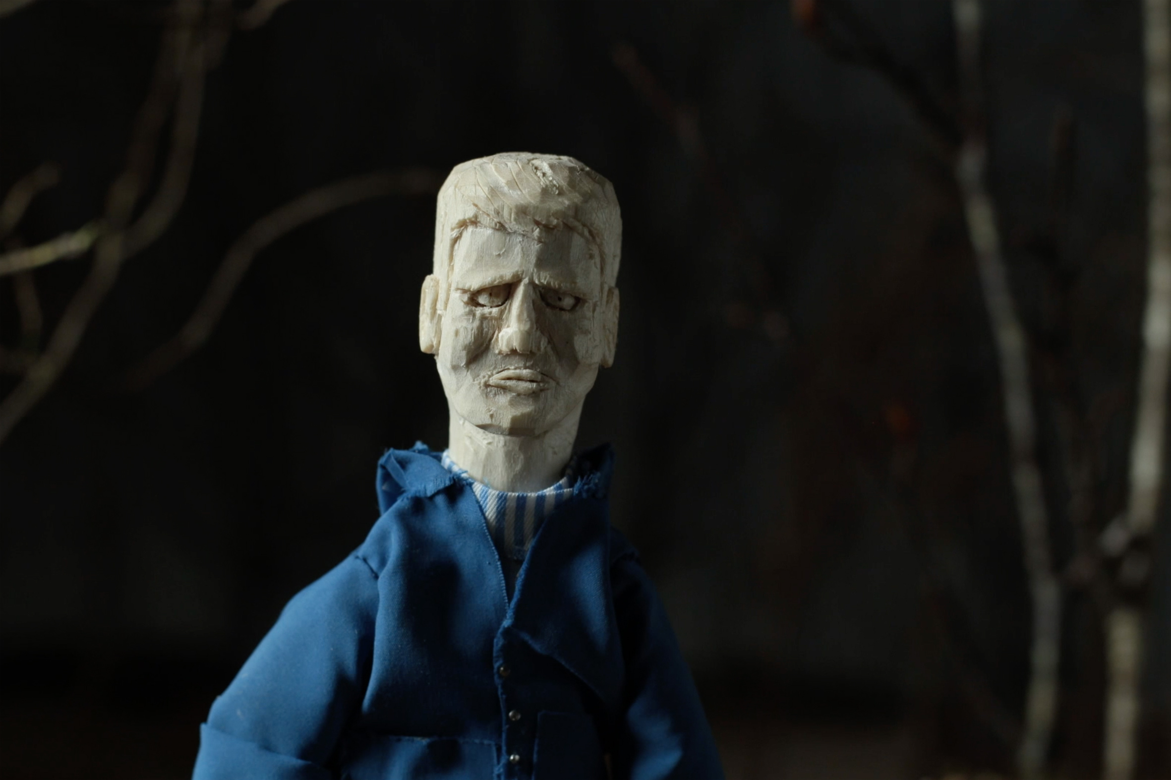 Link to animation here