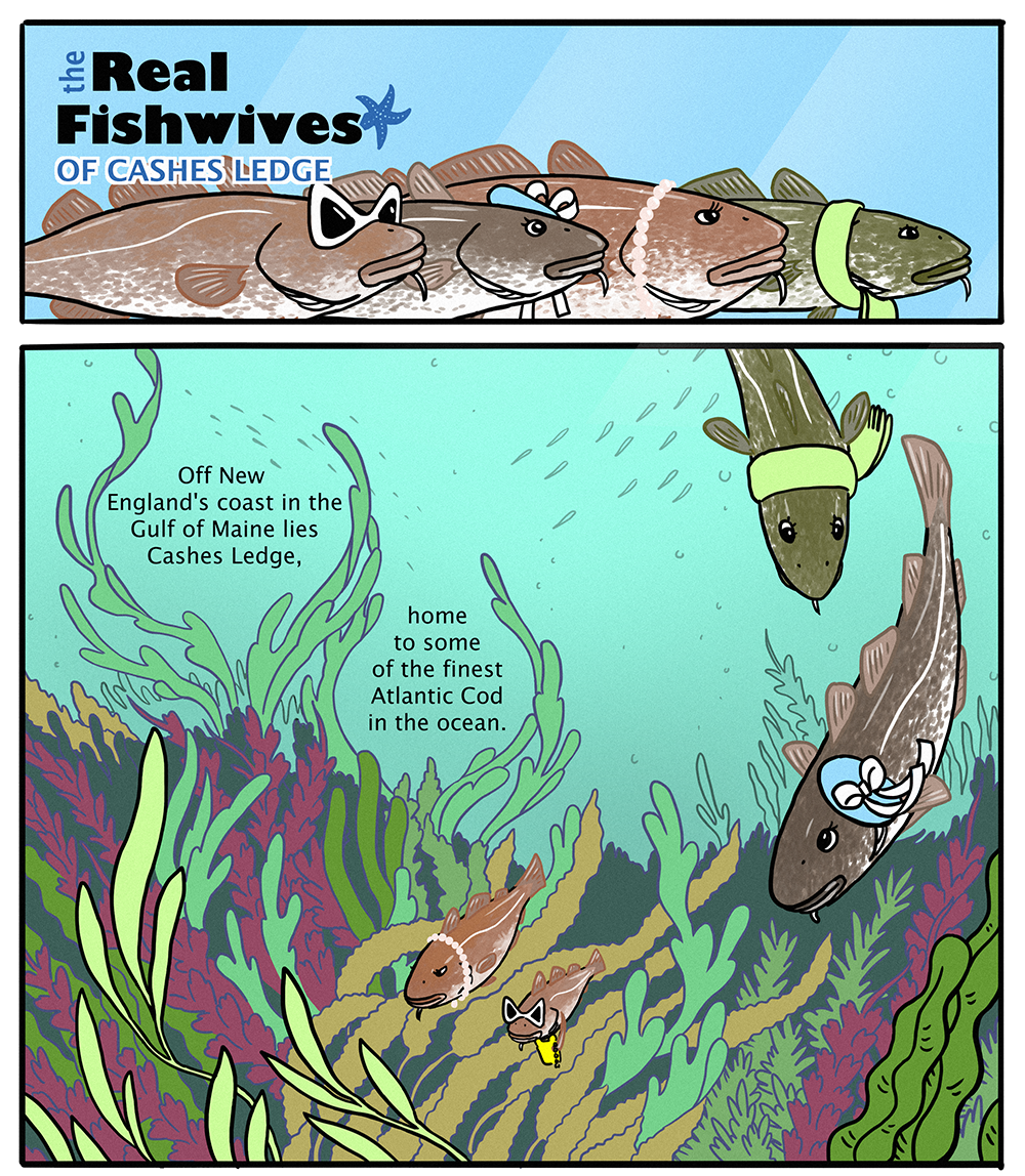 The Real Fishwives of Cashes Ledge | Illustrations by Caroline Hu