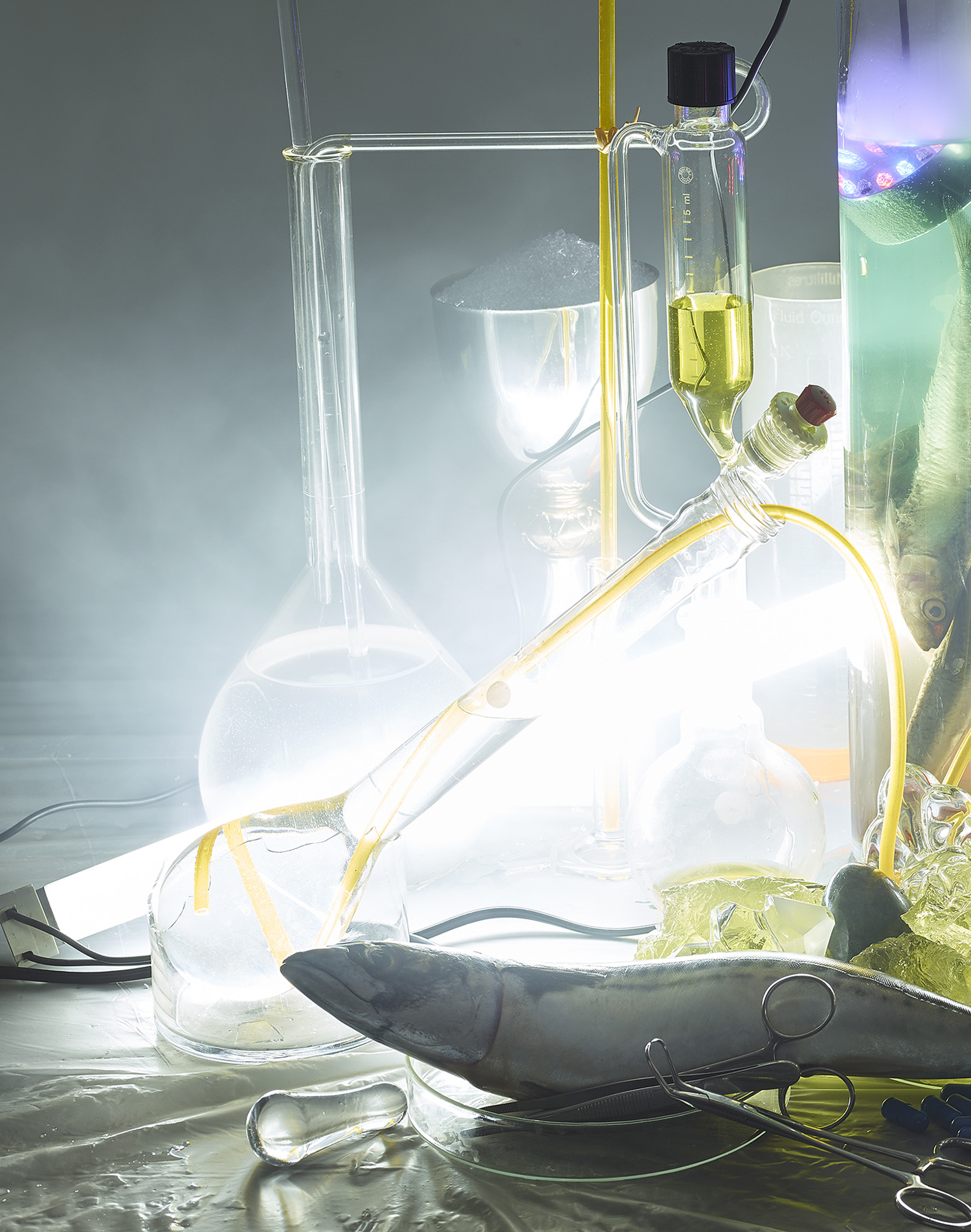 KMA photographer Daniel Schweizer photographs a dead fish on a counter surrounded by glass vials and yellow liquid  