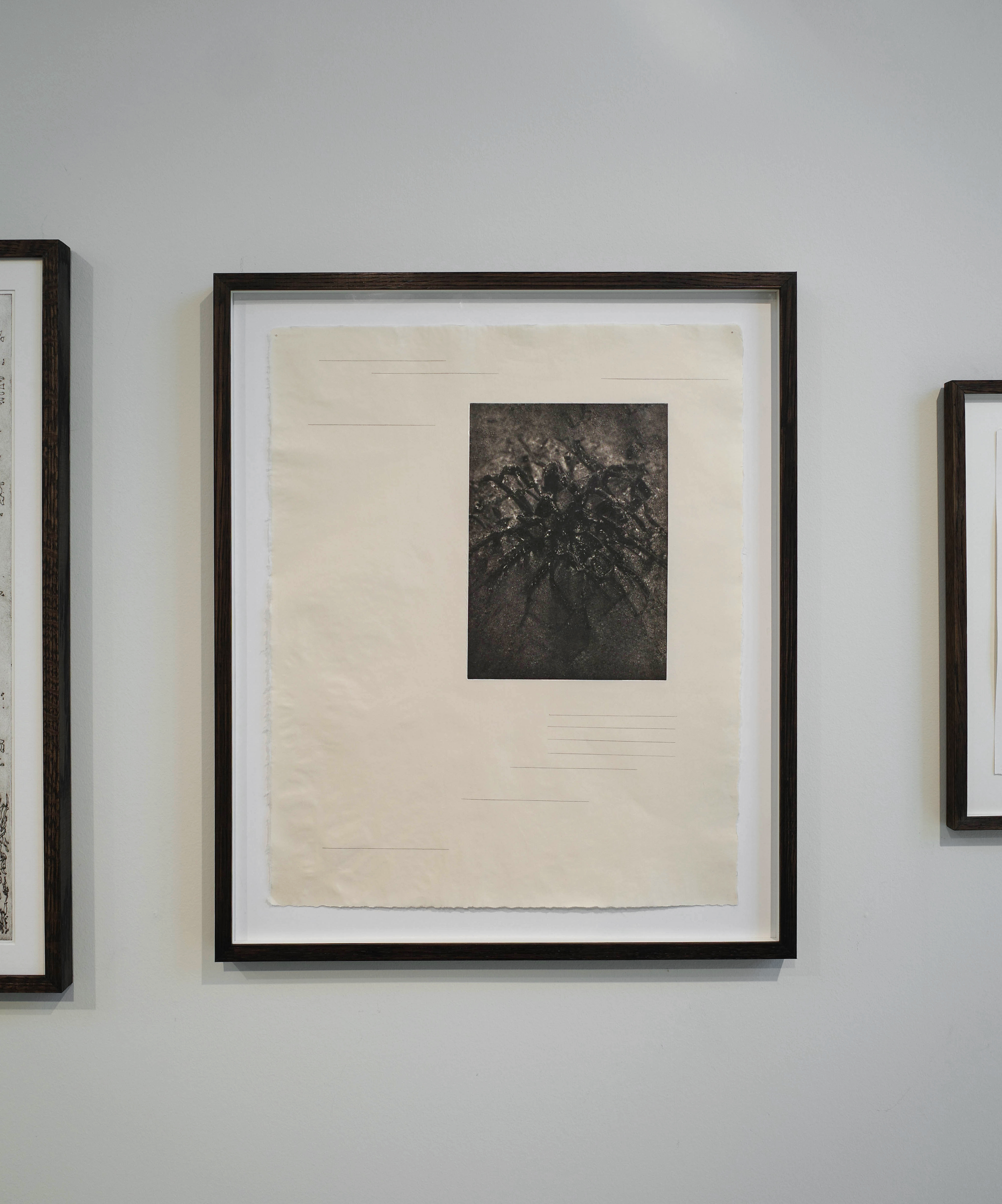 Detail of 'untitled (trauma, stranded)', etching on kozo-mix paper — 42.5x52cm, framed in darkened oak.
