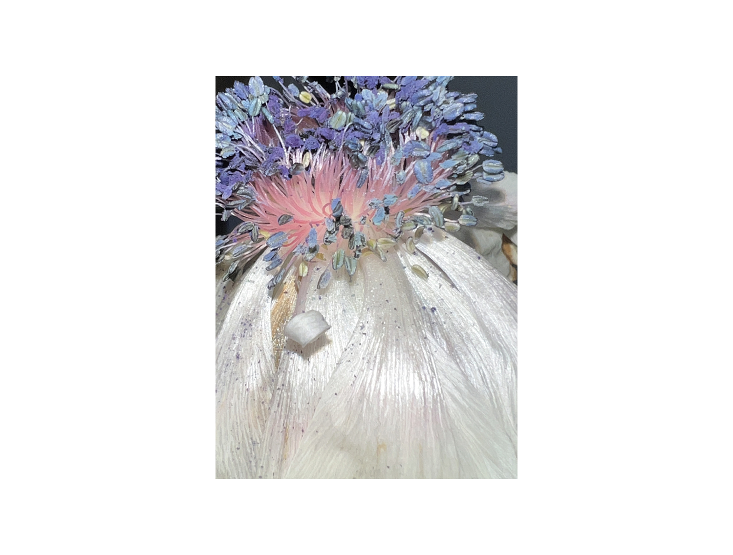 Photography portfolio / Objects & textures