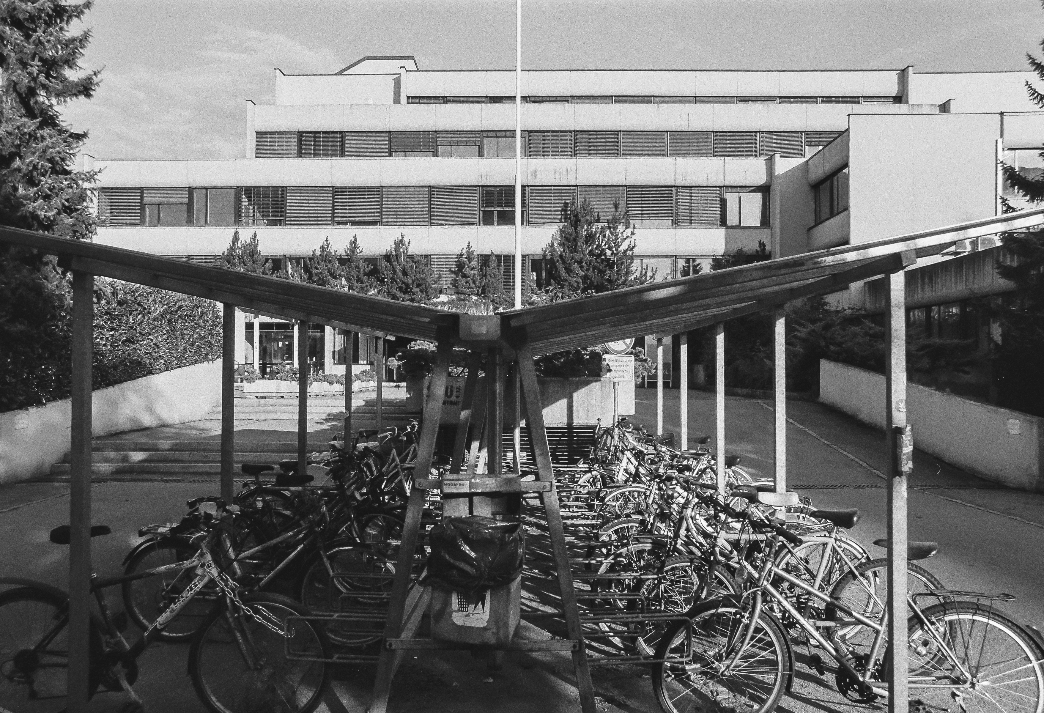 Pedago&scaron;ka fakulteta, Ljubljana / 1985, Jože Koželj