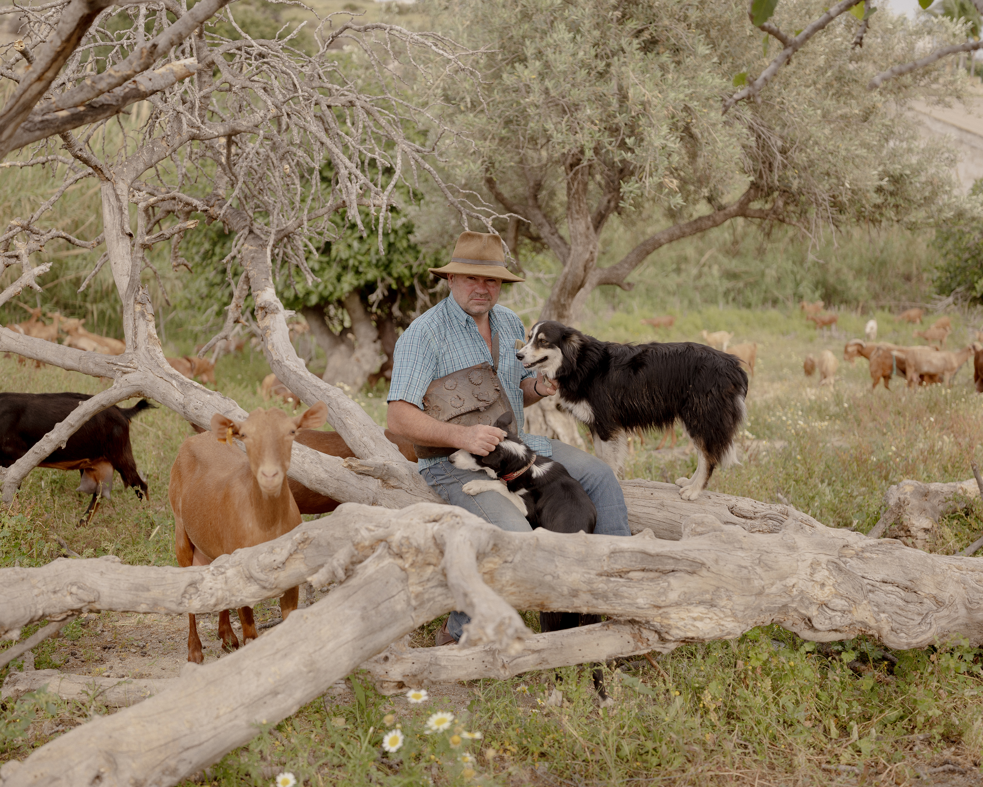 Michelangelo and his goats, Nerja