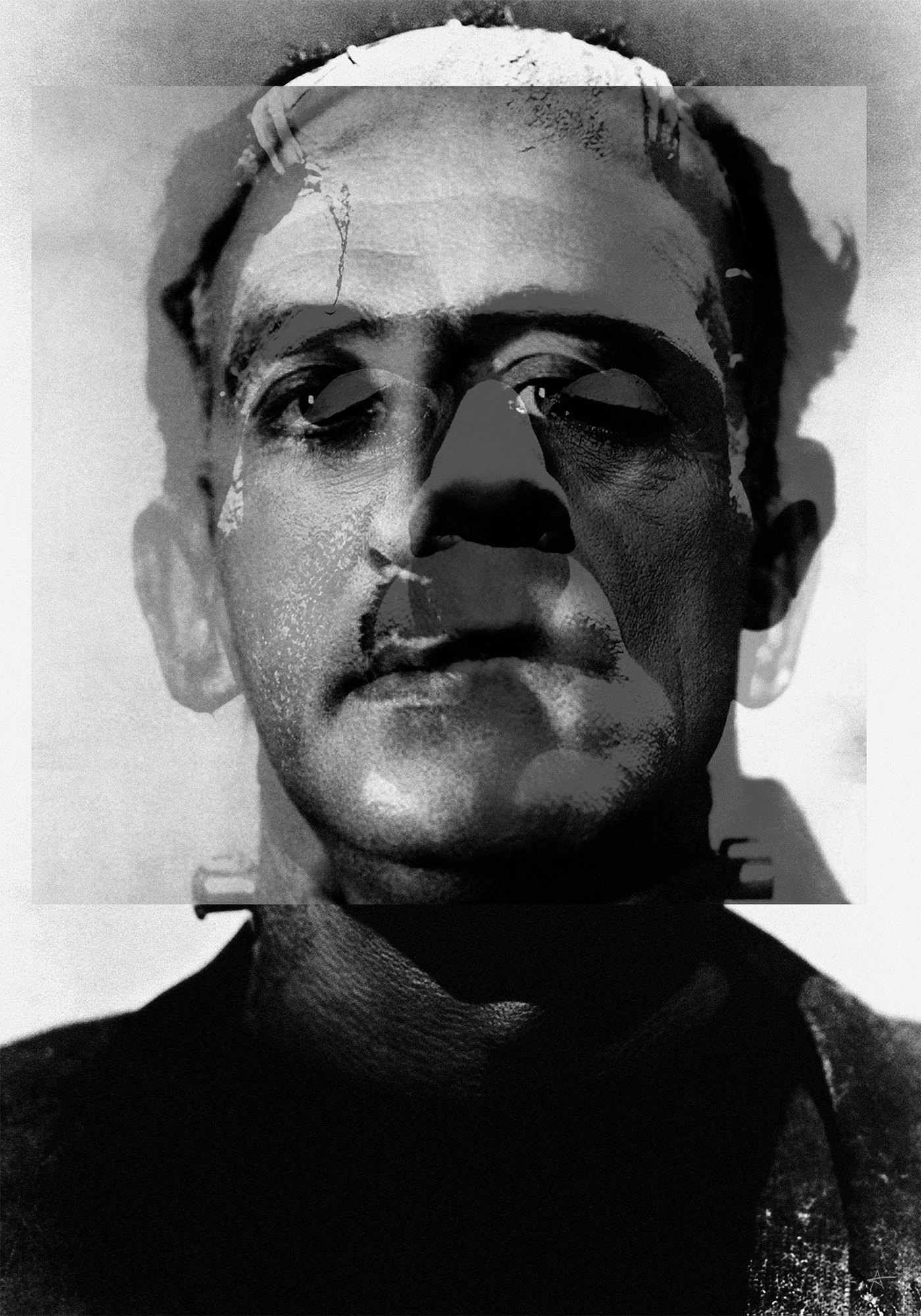 Franconstein2008Ink on paper50 x 70 cmconceptual, print