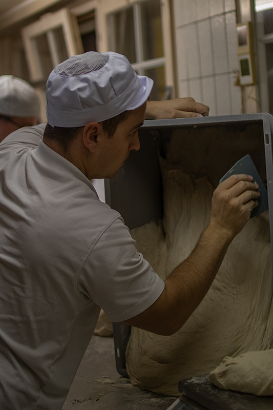 ZWISCHEN SCHLAF UND LEIDENSCHAFT  von Lea Widmer