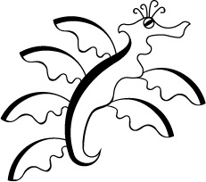 Leafy Seadragon Final