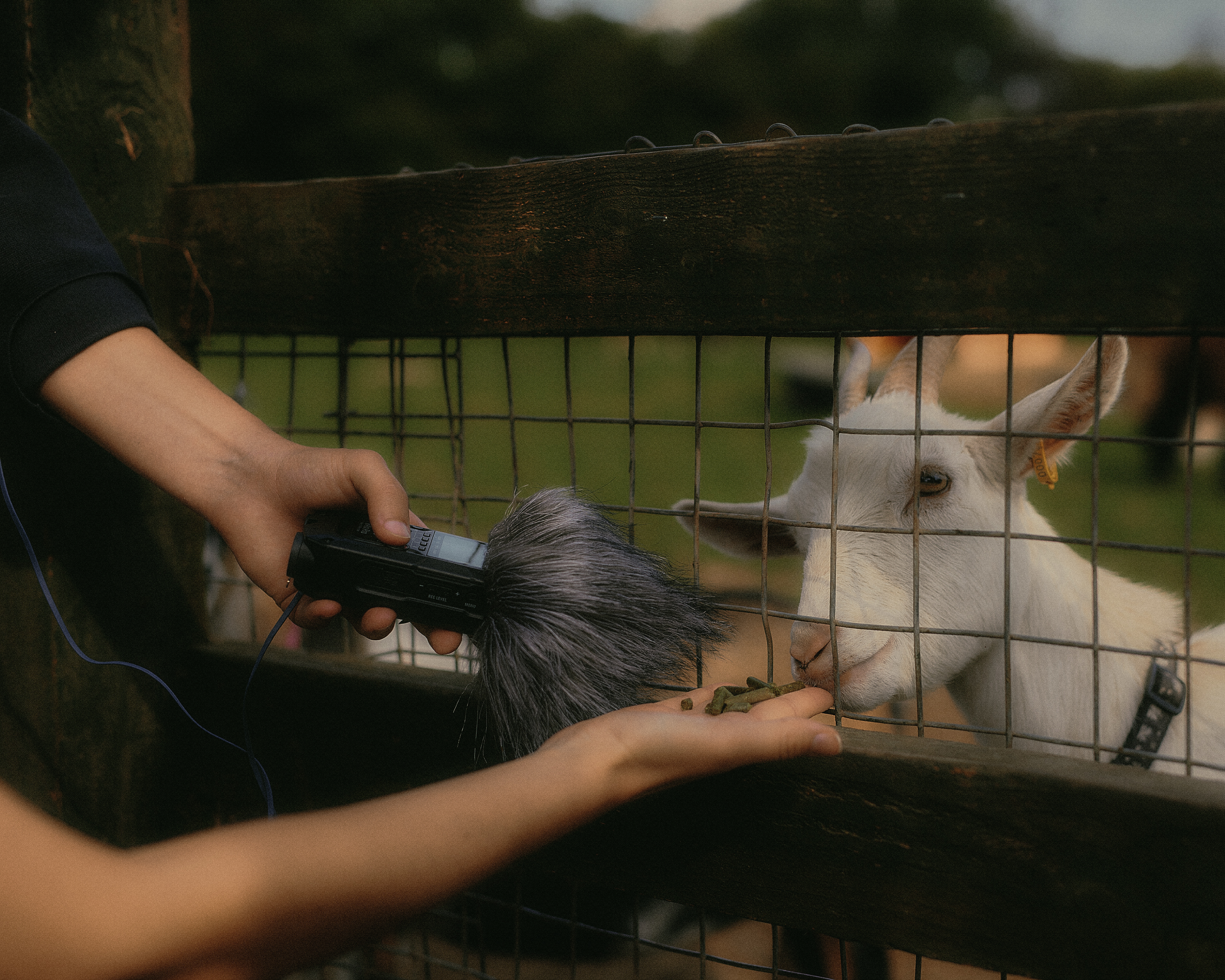 > Nottingham Weather Station [2023-24]