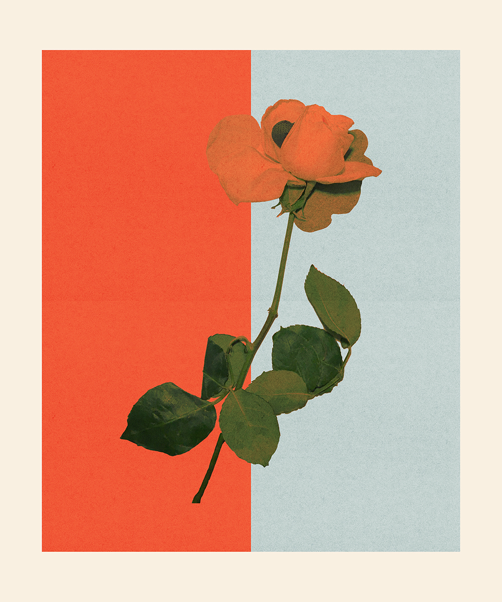 16. true blue 05.12.25