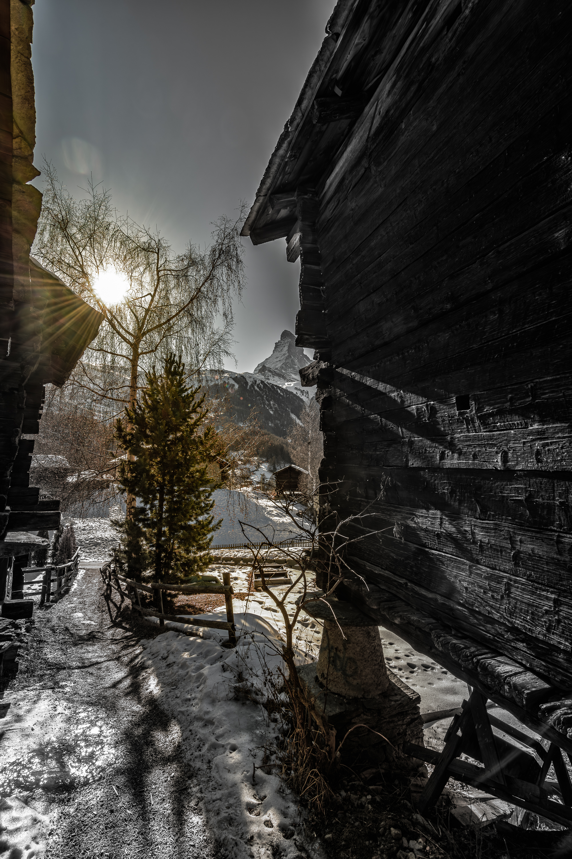 Vue du Cervin depuis un endroit magnifique (quartier de Winkelmatten dans Zermatt)
