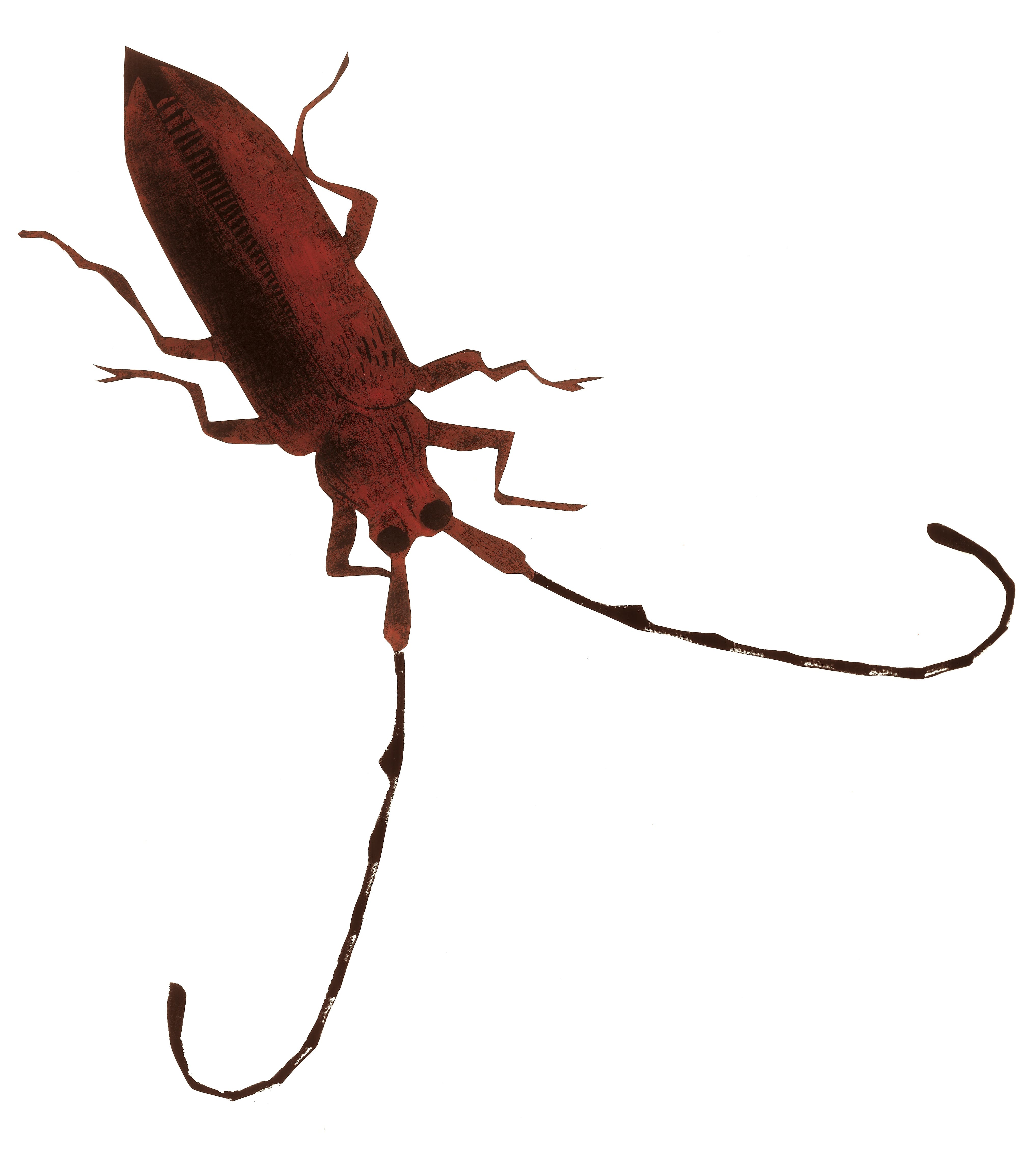 Forrest beetleLinocut printed in red oil on black paperSerie: Haensel and Gretel/Text: The Brothers GrimmÉditions Être, Publisher: Paris Hinstorff, Rostock, 2007