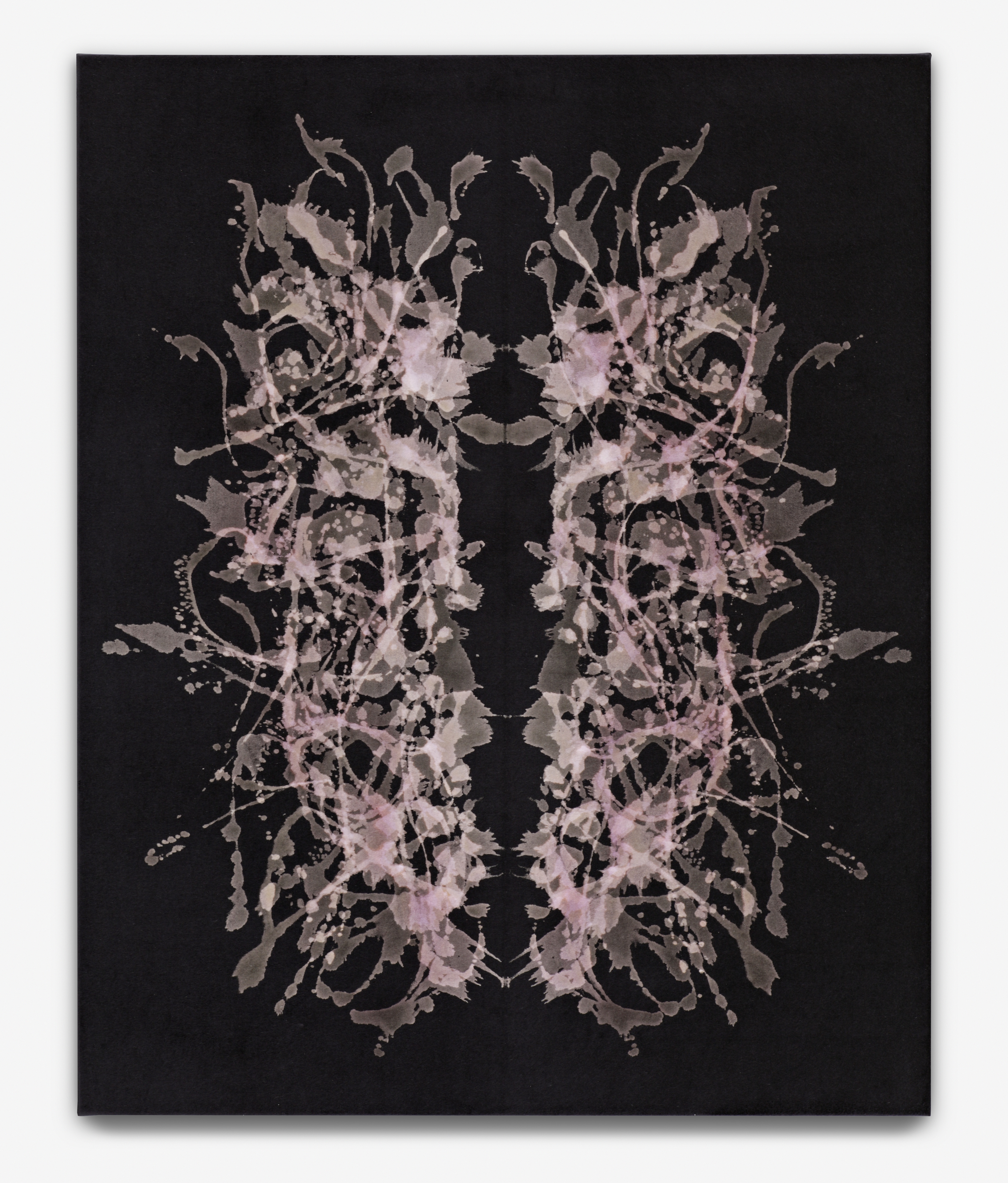 untitled, 108x87cm, bleach on velvet, 2009