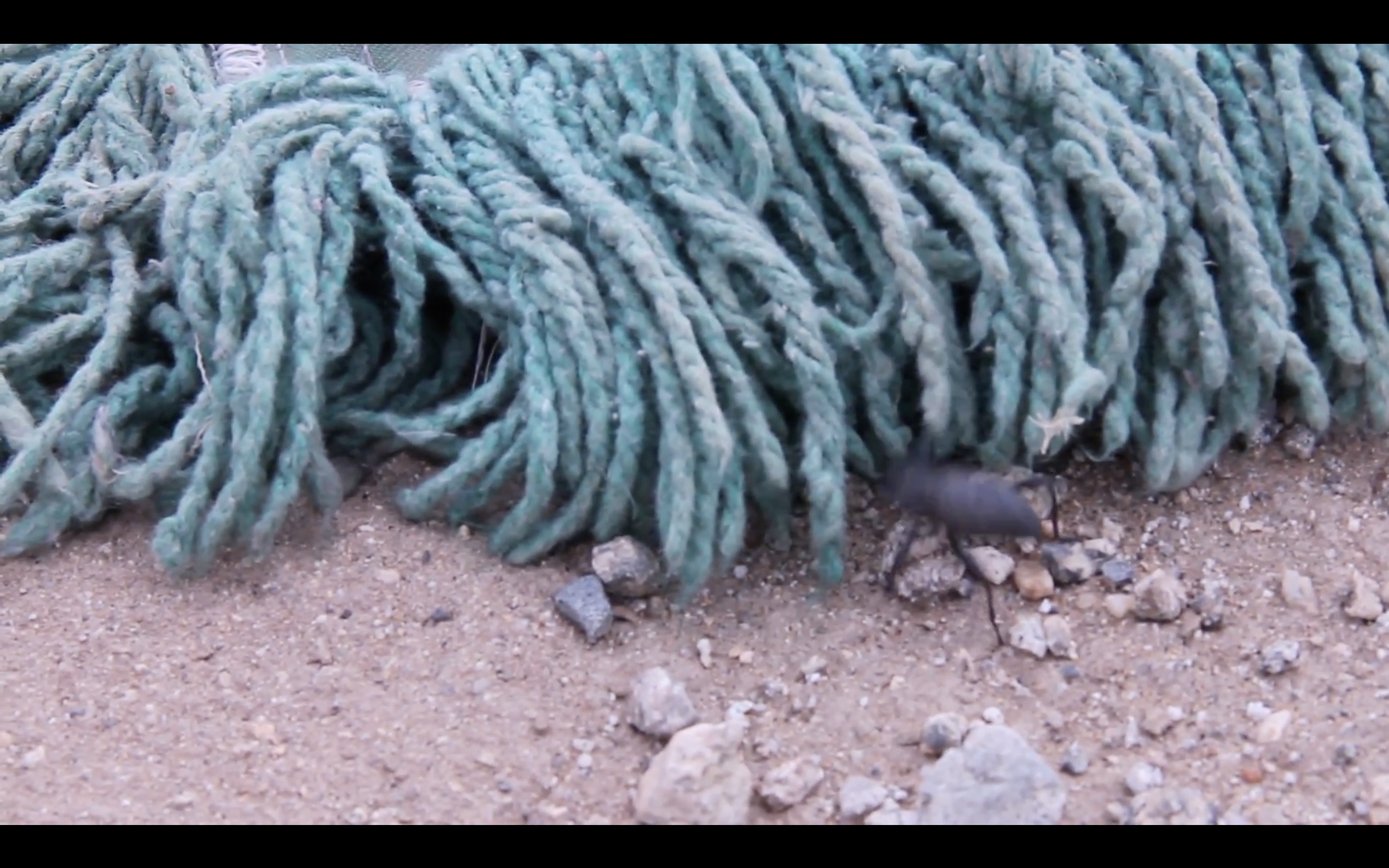 3:46, Digital, Single Channel Projection, Silent, 2016