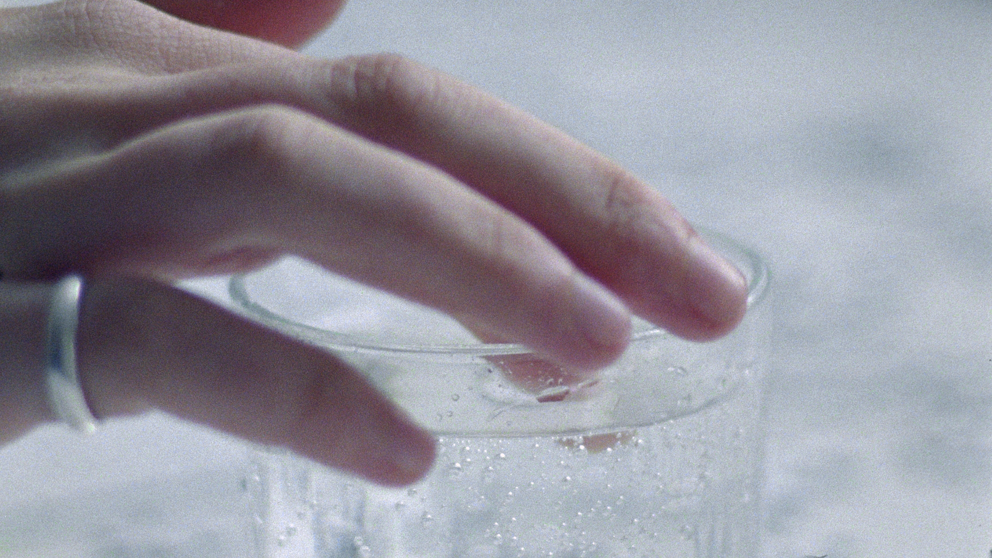 HERE for Shadowplayw/carlotta