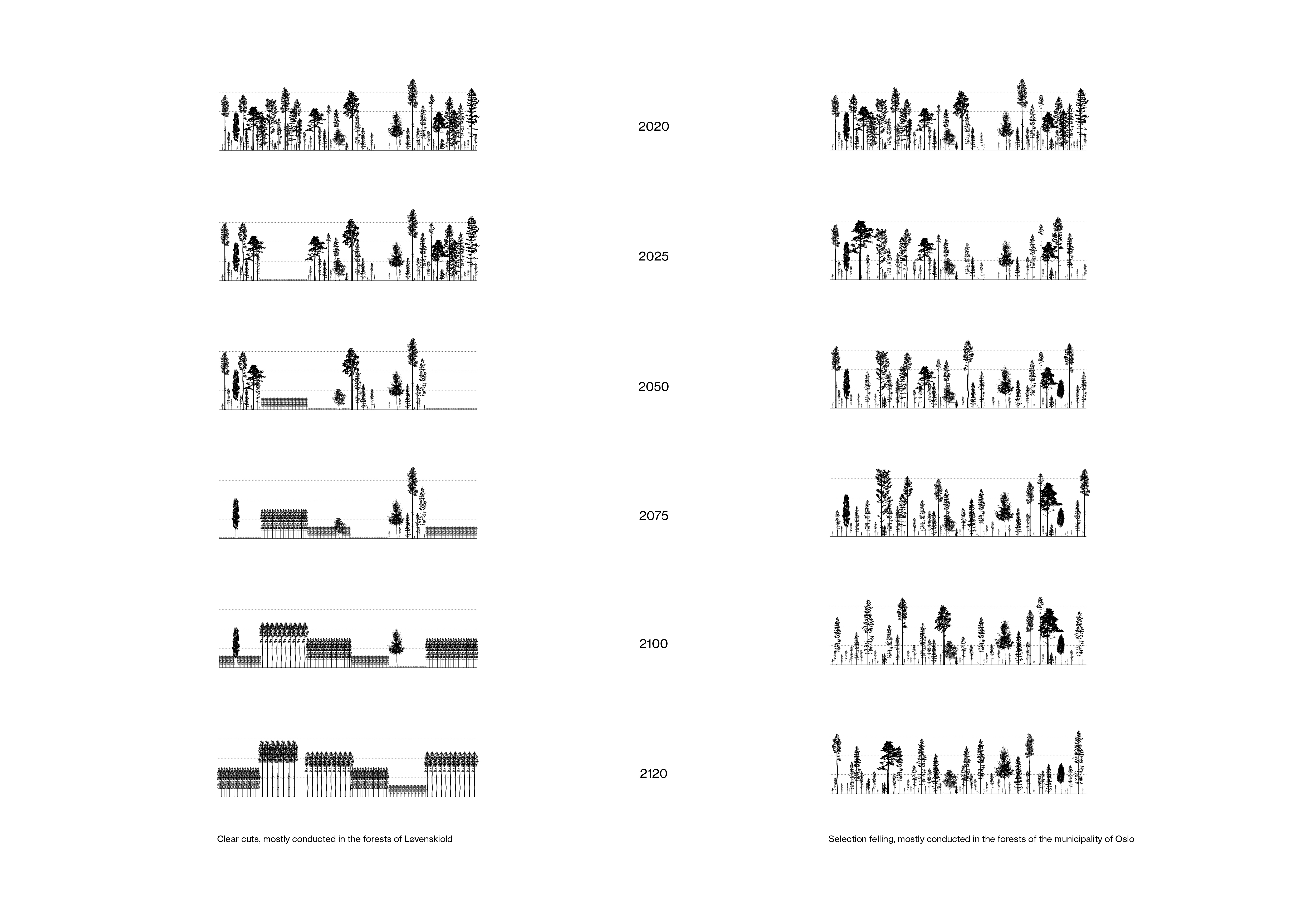øsvm IV. flatehogst og naturvernskorridorer. 2020