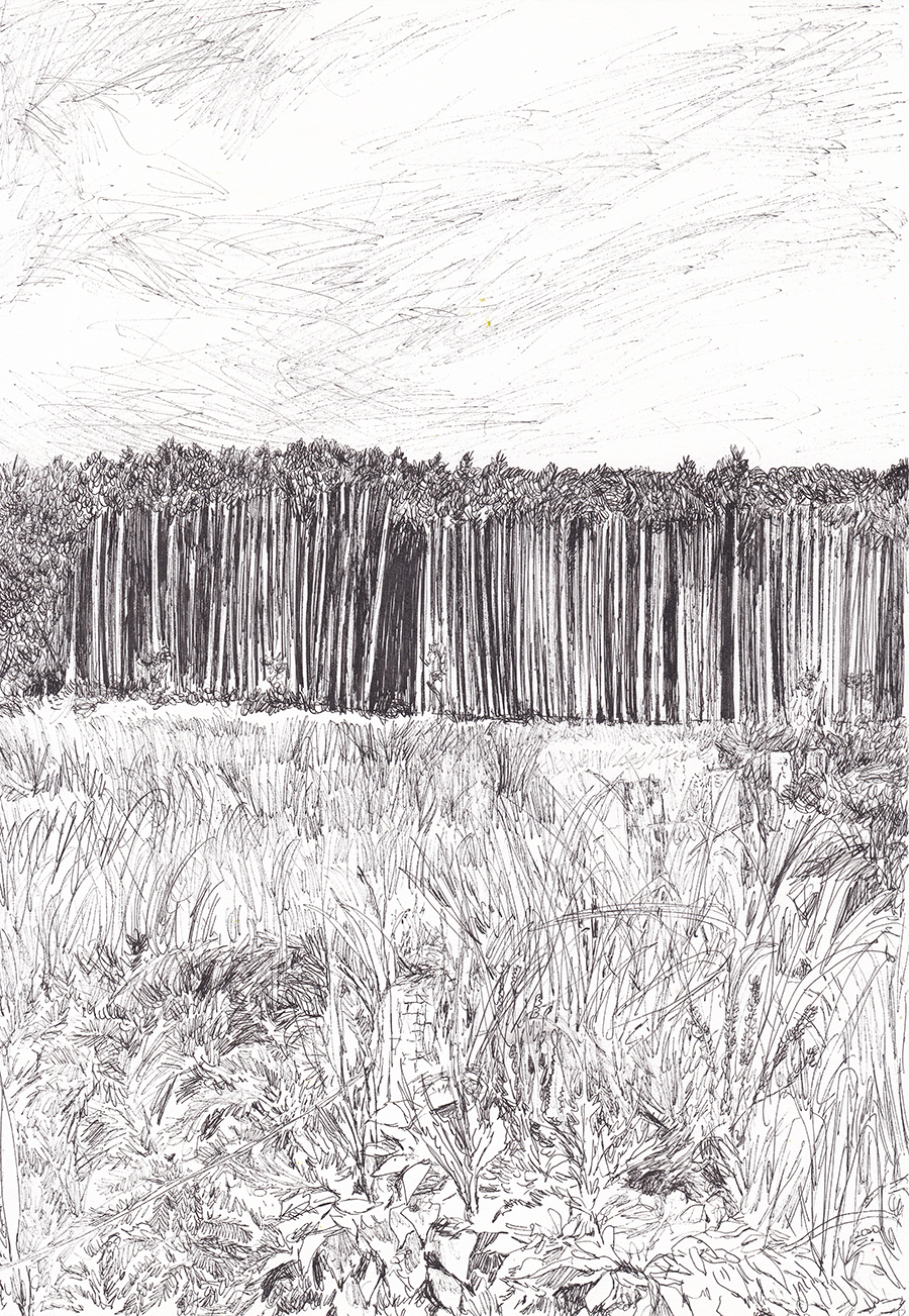 안돌오름, 2020, pen on paper, 27.9*21(cm)