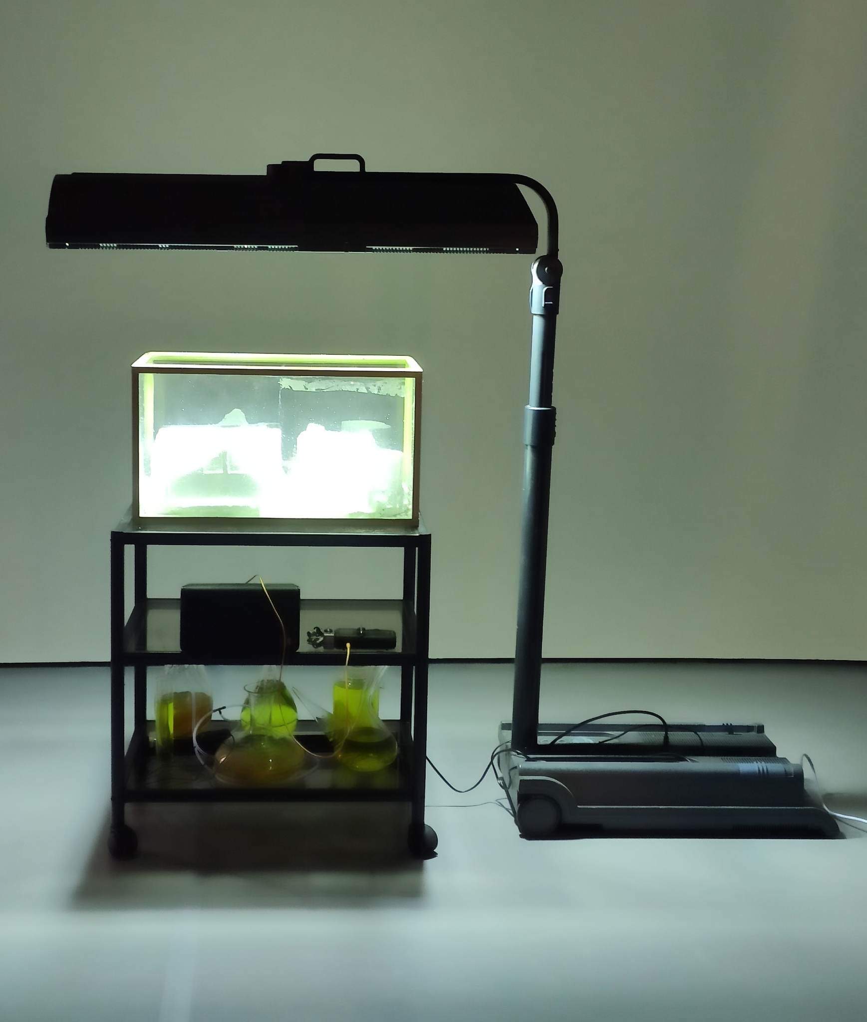 The Apostels of the Toxic Temple