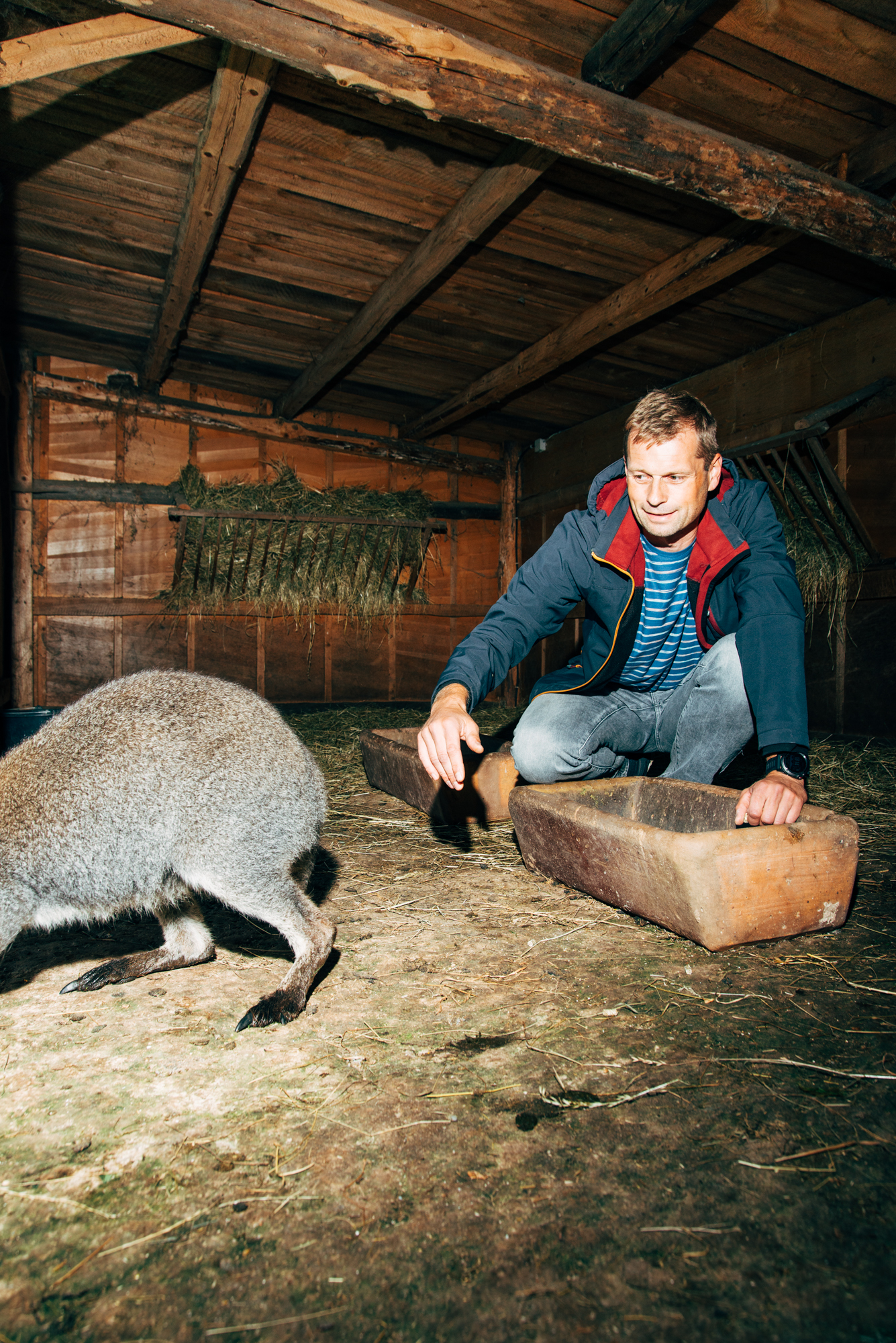 Rico Kirsche aus Waltersdorf bei Gera z&uuml;chtet seit 12 Jahren K&auml;ngurus