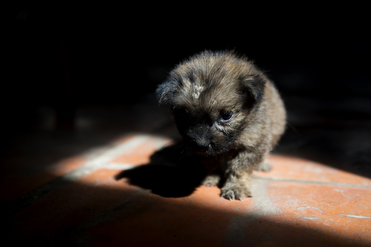 Mekong Delta, Vietnam, 2012