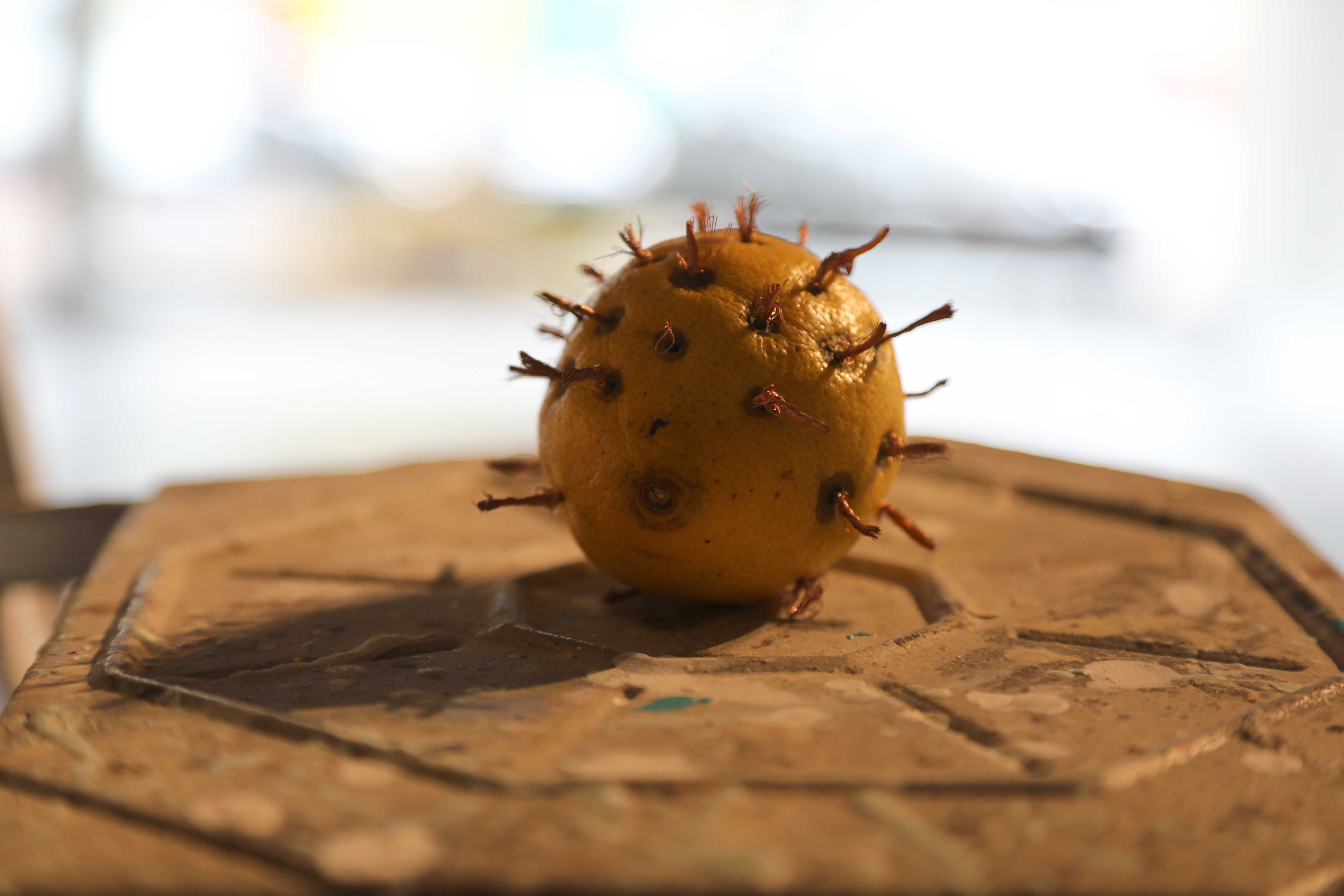 Lemon Battery